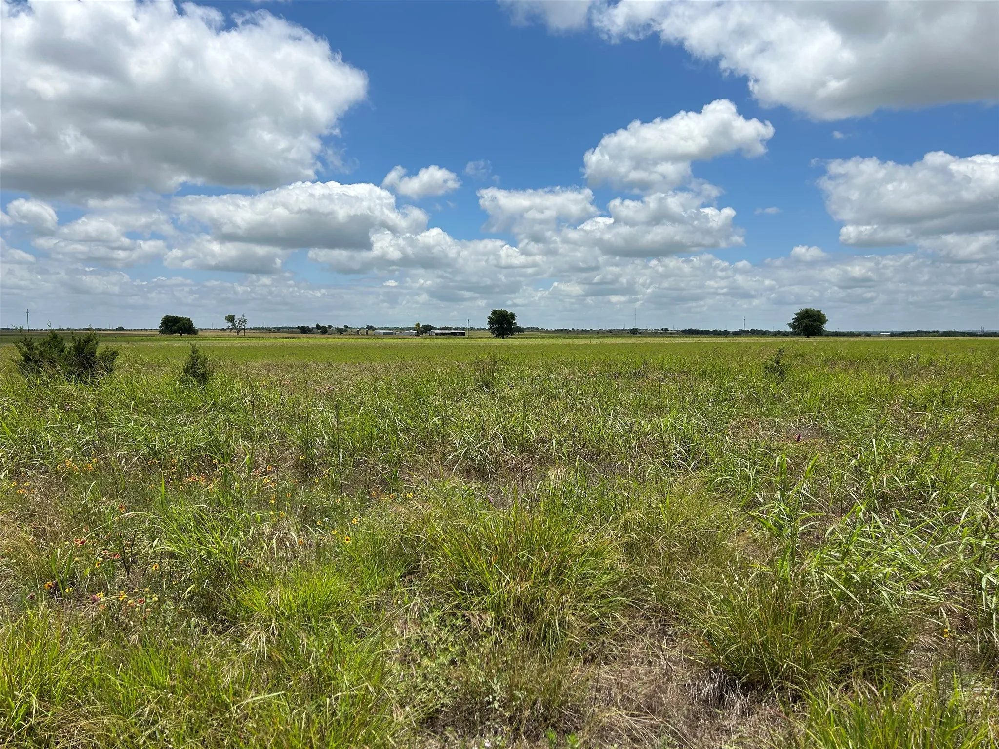 Unimproved Land For Sale in Bosque County , 1054 CR 3415, Clifton, Texas 76634, 0, 0, Garage spaces, 0 Sqft, built in 0, mls#21308311, Real Estate Agent in Clifton, Homes For Sale in Bosque county, Homes For Sale in Clifton, Realtor in Clifton Texas, Real Estate Brokerage Independent Realty Texas, Luminita Cordes Realtor