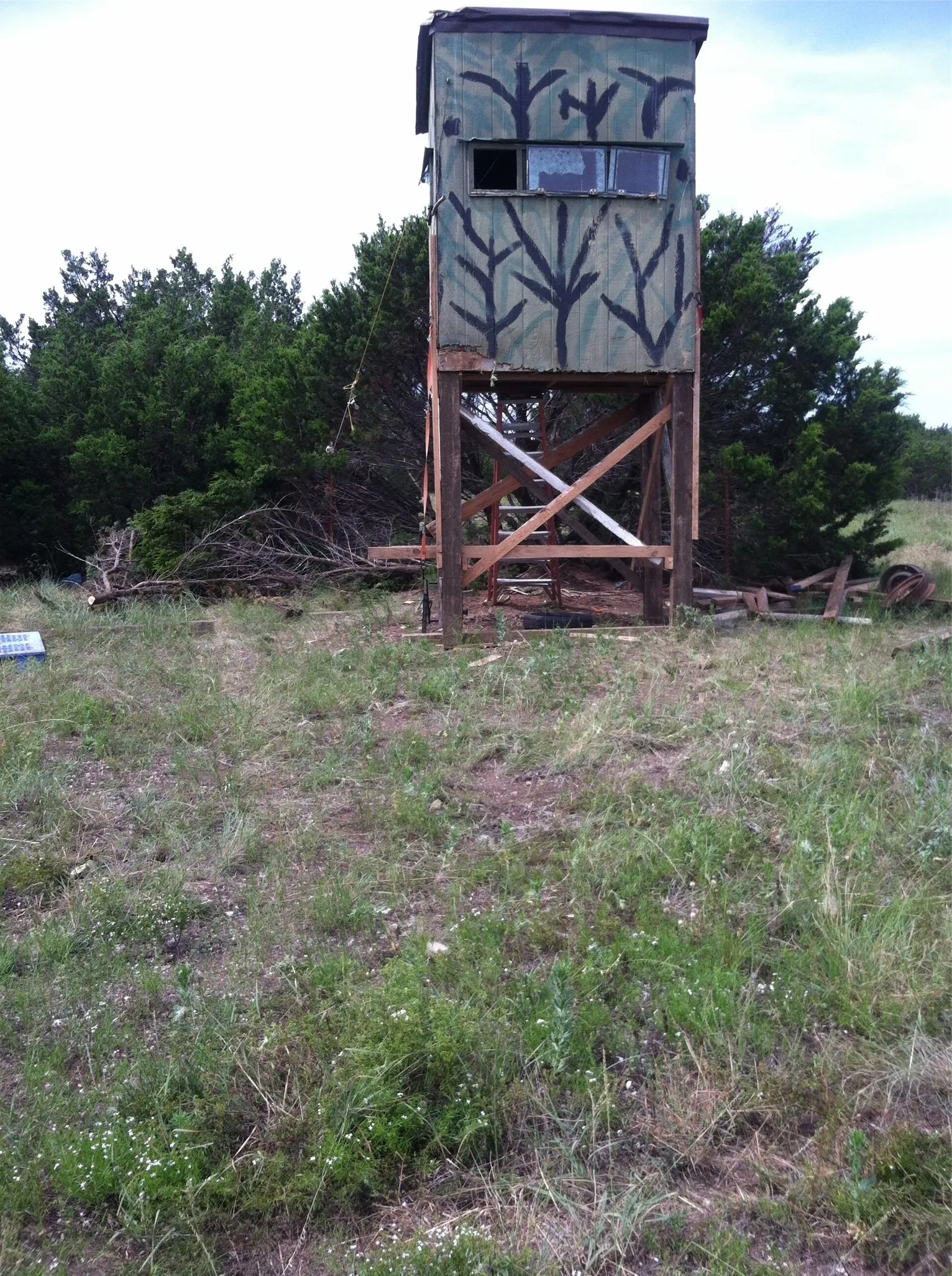Unimproved Land For Sale in Bosque County , 1054 CR 3415, Clifton, Texas 76634, 0, 0, Garage spaces, 0 Sqft, built in 0, mls#21308311, Real Estate Agent in Clifton, Homes For Sale in Bosque county, Homes For Sale in Clifton, Realtor in Clifton Texas, Real Estate Brokerage Independent Realty Texas, Luminita Cordes Realtor