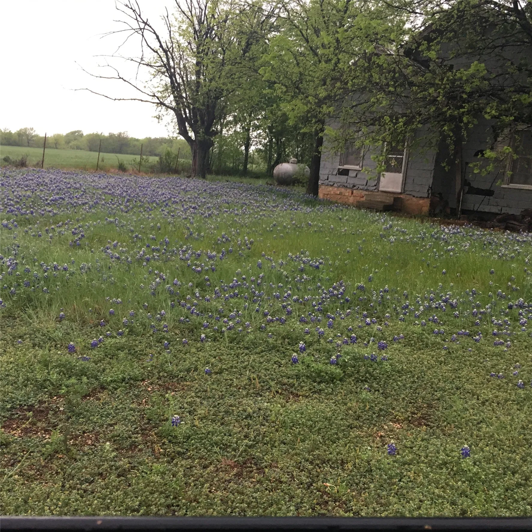 Unimproved Land For Sale in Bosque County , 1054 CR 3415, Clifton, Texas 76634, 0, 0, Garage spaces, 0 Sqft, built in 0, mls#21308311, Real Estate Agent in Clifton, Homes For Sale in Bosque county, Homes For Sale in Clifton, Realtor in Clifton Texas, Real Estate Brokerage Independent Realty Texas, Luminita Cordes Realtor