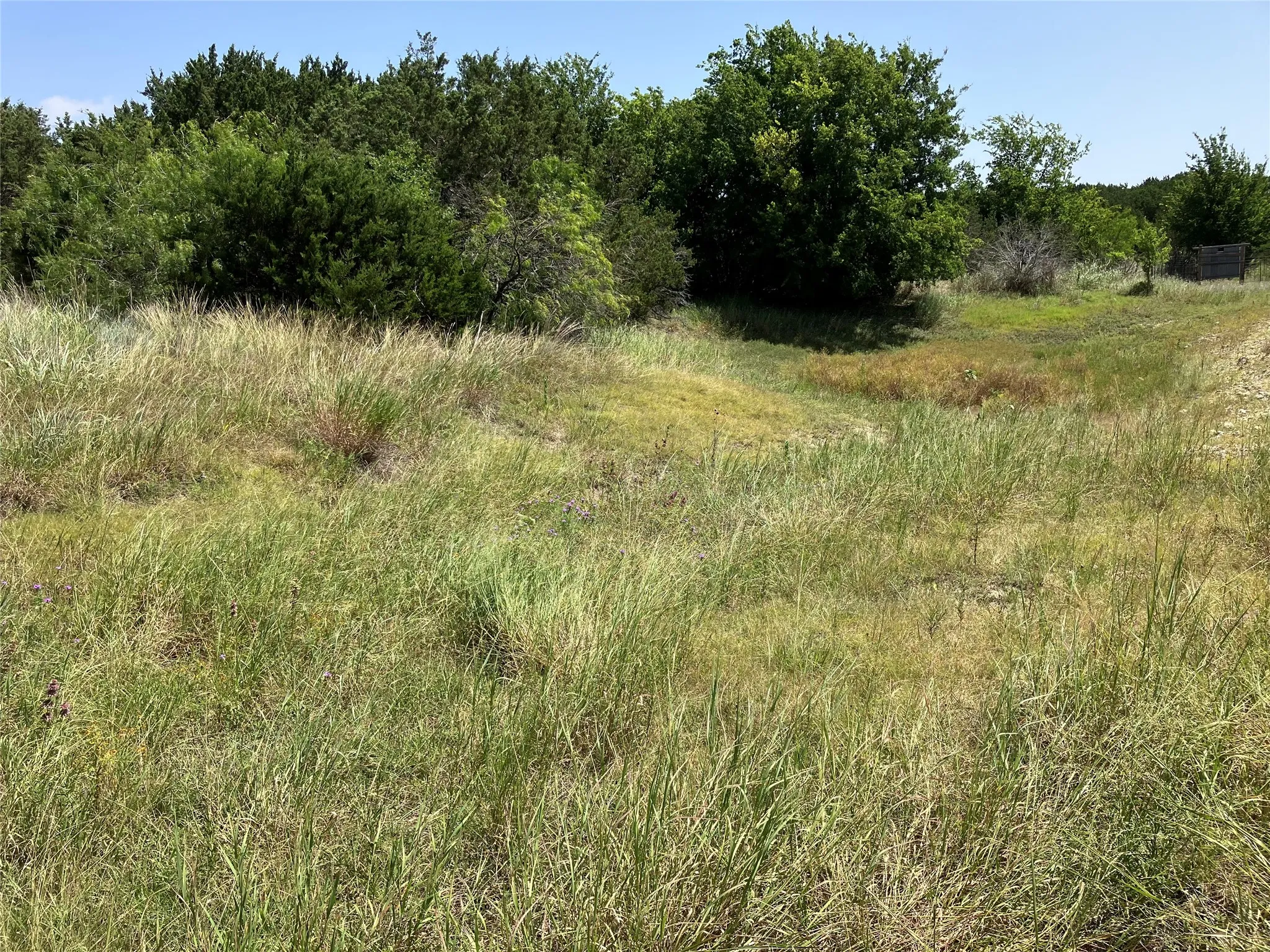 Unimproved Land For Sale in Bosque County , 1054 CR 3415, Clifton, Texas 76634, 0, 0, Garage spaces, 0 Sqft, built in 0, mls#21308311, Real Estate Agent in Clifton, Homes For Sale in Bosque county, Homes For Sale in Clifton, Realtor in Clifton Texas, Real Estate Brokerage Independent Realty Texas, Luminita Cordes Realtor