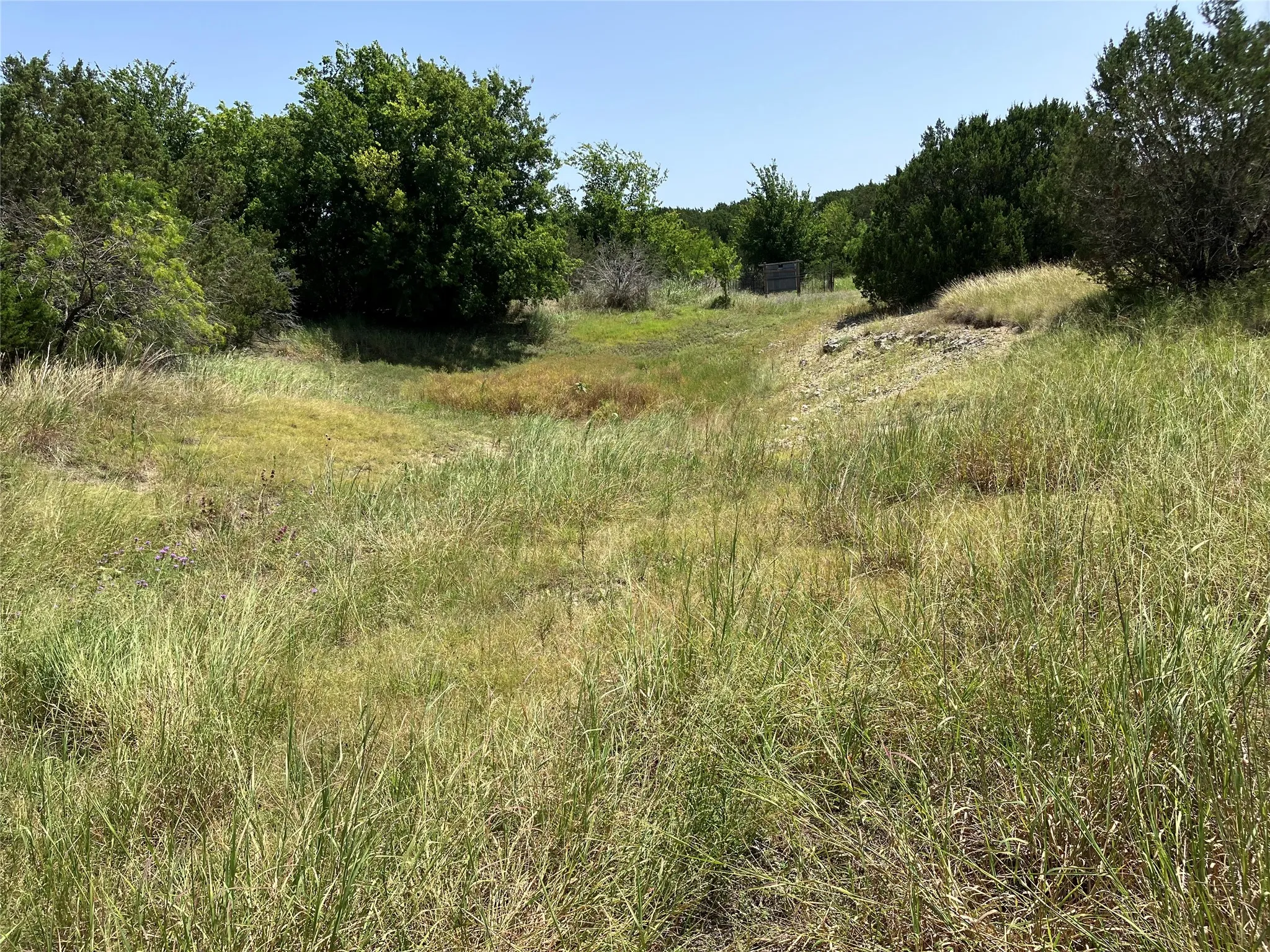 Unimproved Land For Sale in Bosque County , 1054 CR 3415, Clifton, Texas 76634, 0, 0, Garage spaces, 0 Sqft, built in 0, mls#21308311, Real Estate Agent in Clifton, Homes For Sale in Bosque county, Homes For Sale in Clifton, Realtor in Clifton Texas, Real Estate Brokerage Independent Realty Texas, Luminita Cordes Realtor