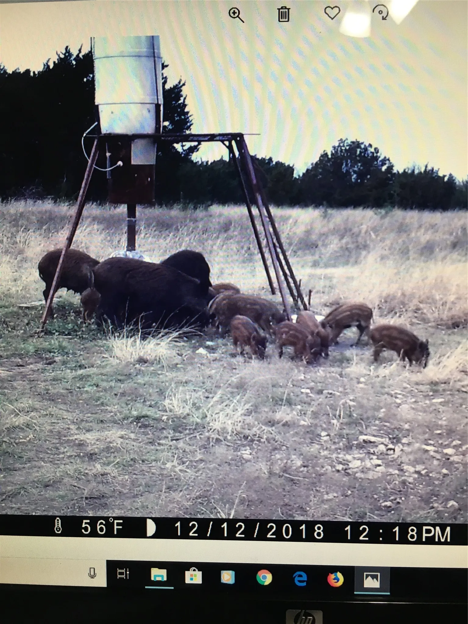 Unimproved Land For Sale in Bosque County , 1054 CR 3415, Clifton, Texas 76634, 0, 0, Garage spaces, 0 Sqft, built in 0, mls#21308311, Real Estate Agent in Clifton, Homes For Sale in Bosque county, Homes For Sale in Clifton, Realtor in Clifton Texas, Real Estate Brokerage Independent Realty Texas, Luminita Cordes Realtor
