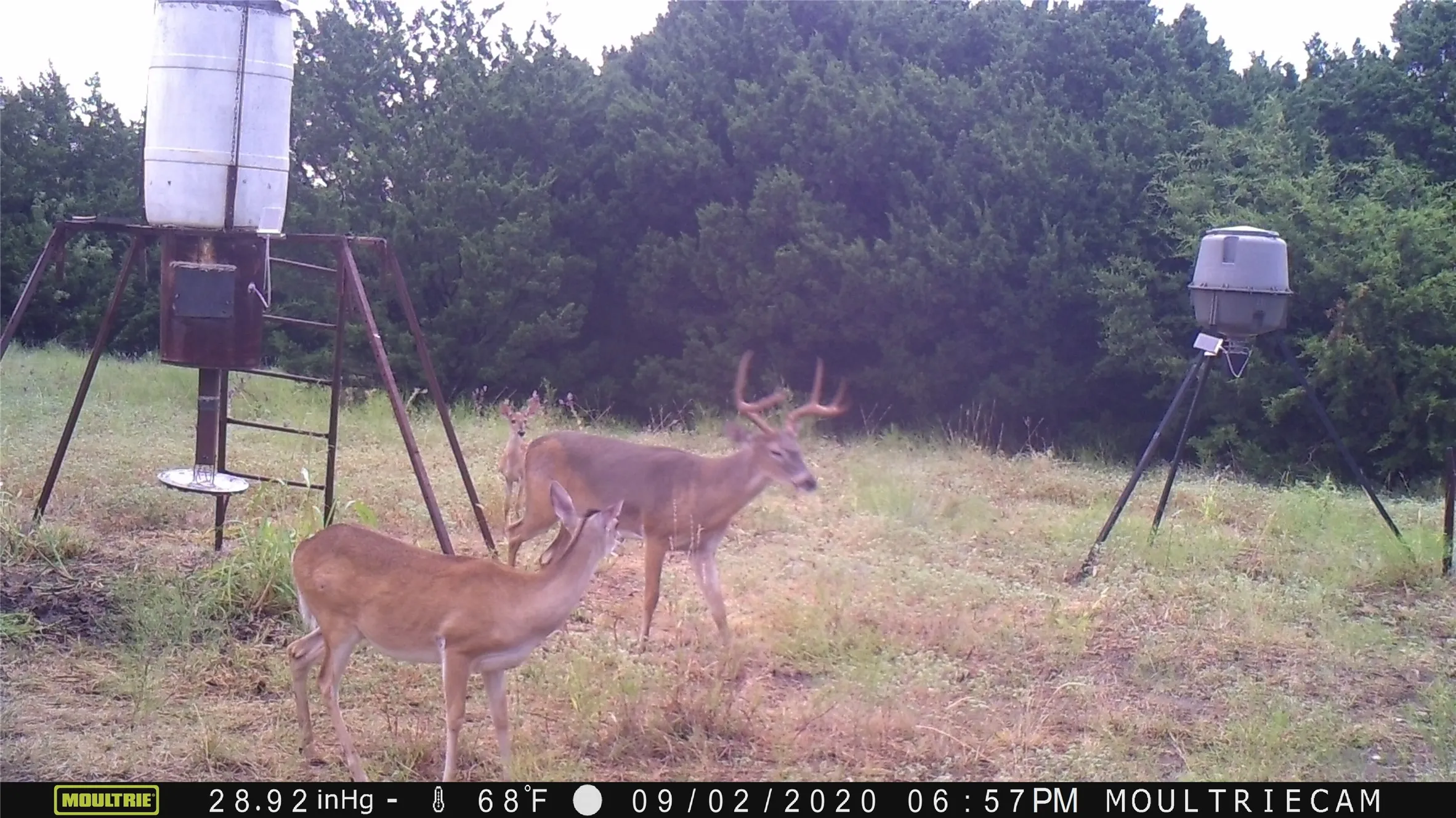 Unimproved Land For Sale in Bosque County , 1054 CR 3415, Clifton, Texas 76634, 0, 0, Garage spaces, 0 Sqft, built in 0, mls#21308311, Real Estate Agent in Clifton, Homes For Sale in Bosque county, Homes For Sale in Clifton, Realtor in Clifton Texas, Real Estate Brokerage Independent Realty Texas, Luminita Cordes Realtor