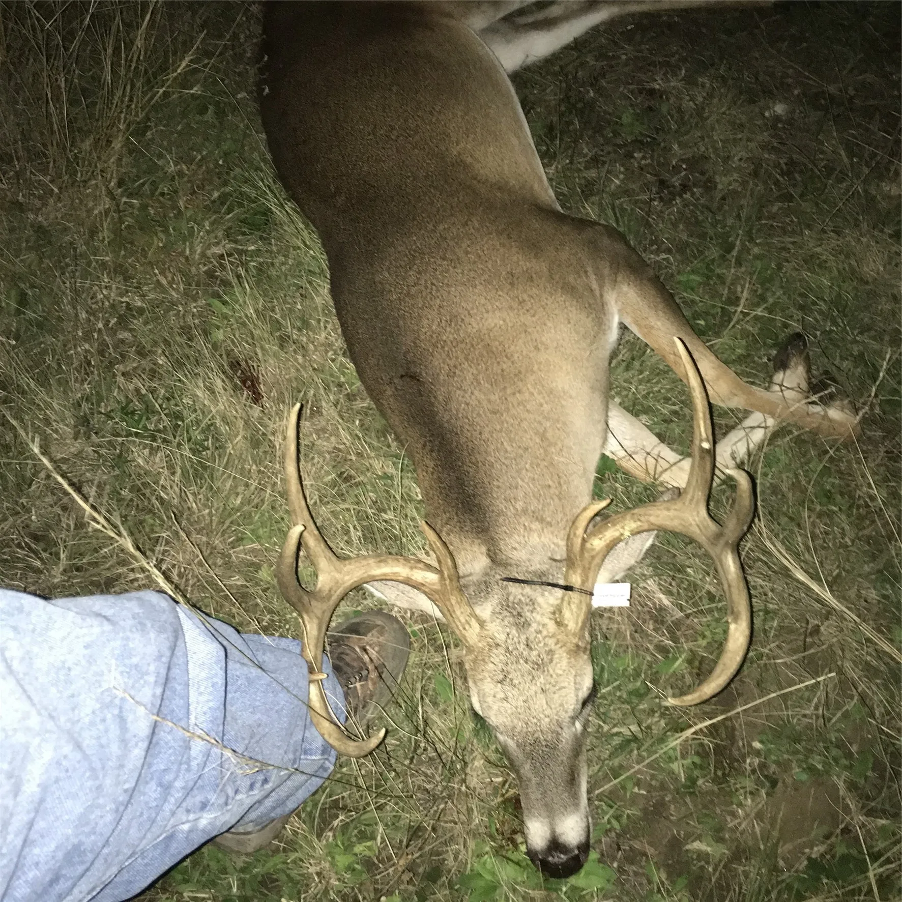 Unimproved Land For Sale in Bosque County , 1054 CR 3415, Clifton, Texas 76634, 0, 0, Garage spaces, 0 Sqft, built in 0, mls#21308311, Real Estate Agent in Clifton, Homes For Sale in Bosque county, Homes For Sale in Clifton, Realtor in Clifton Texas, Real Estate Brokerage Independent Realty Texas, Luminita Cordes Realtor