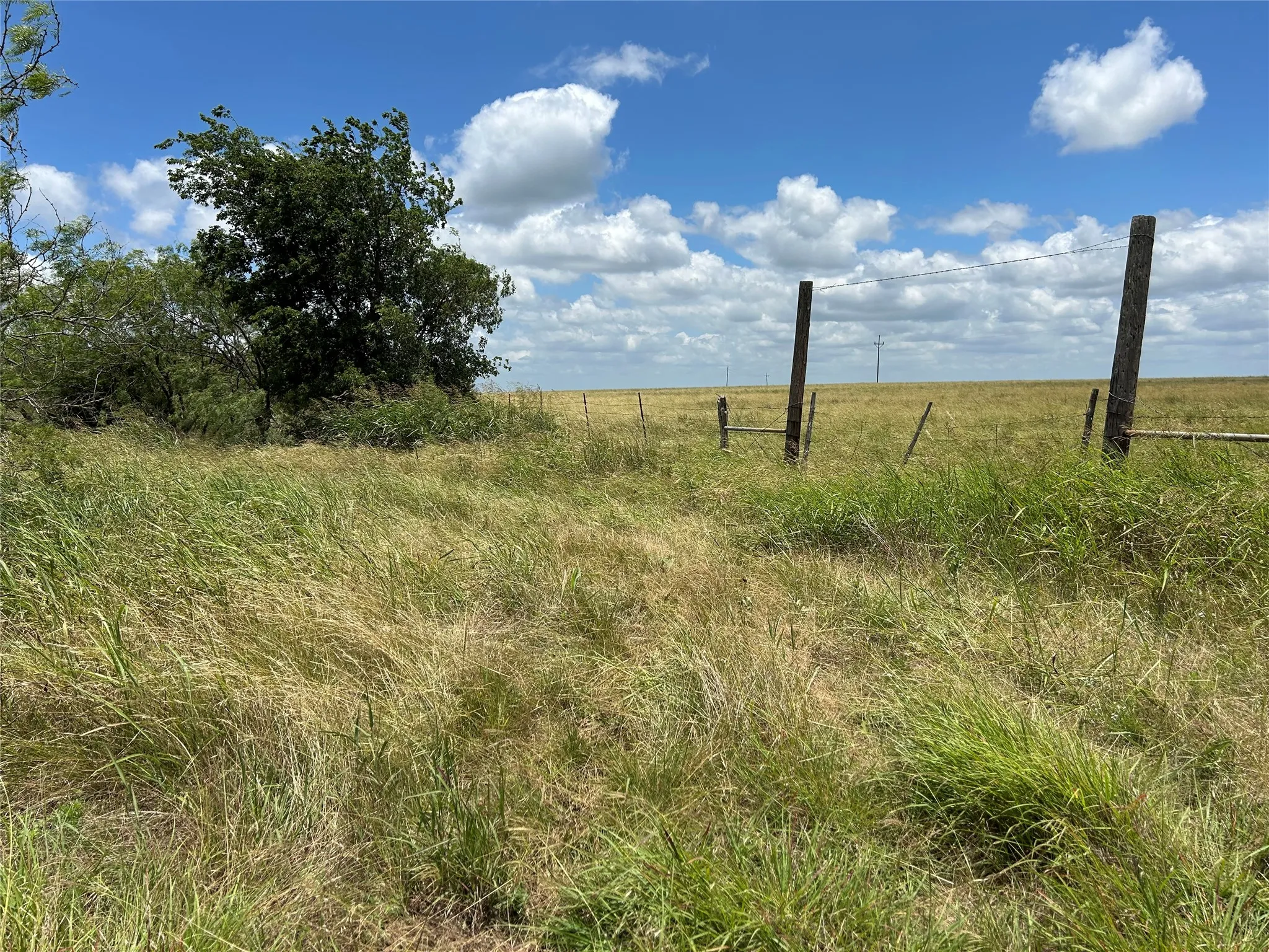 Unimproved Land For Sale in Bosque County , 1054 CR 3415, Clifton, Texas 76634, 0, 0, Garage spaces, 0 Sqft, built in 0, mls#21308311, Real Estate Agent in Clifton, Homes For Sale in Bosque county, Homes For Sale in Clifton, Realtor in Clifton Texas, Real Estate Brokerage Independent Realty Texas, Luminita Cordes Realtor