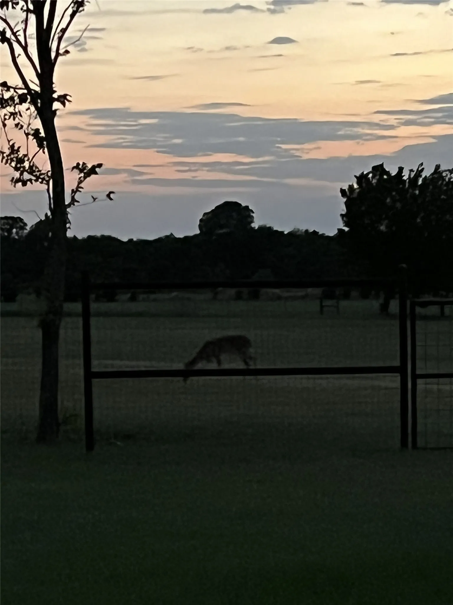 Farm For Sale in Wise County , 716 County Road 3241, Paradise, Texas 76073, 4 Bedroom, 3 Bathroom, 2 Garage spaces, 2,380 Sqft, built in 2019, mls#21326646, Real Estate Agent in Paradise, Homes For Sale in Wise county, Homes For Sale in Paradise, Realtor in Paradise Texas, Real Estate Brokerage Independent Realty Texas, Luminita Cordes Realtor