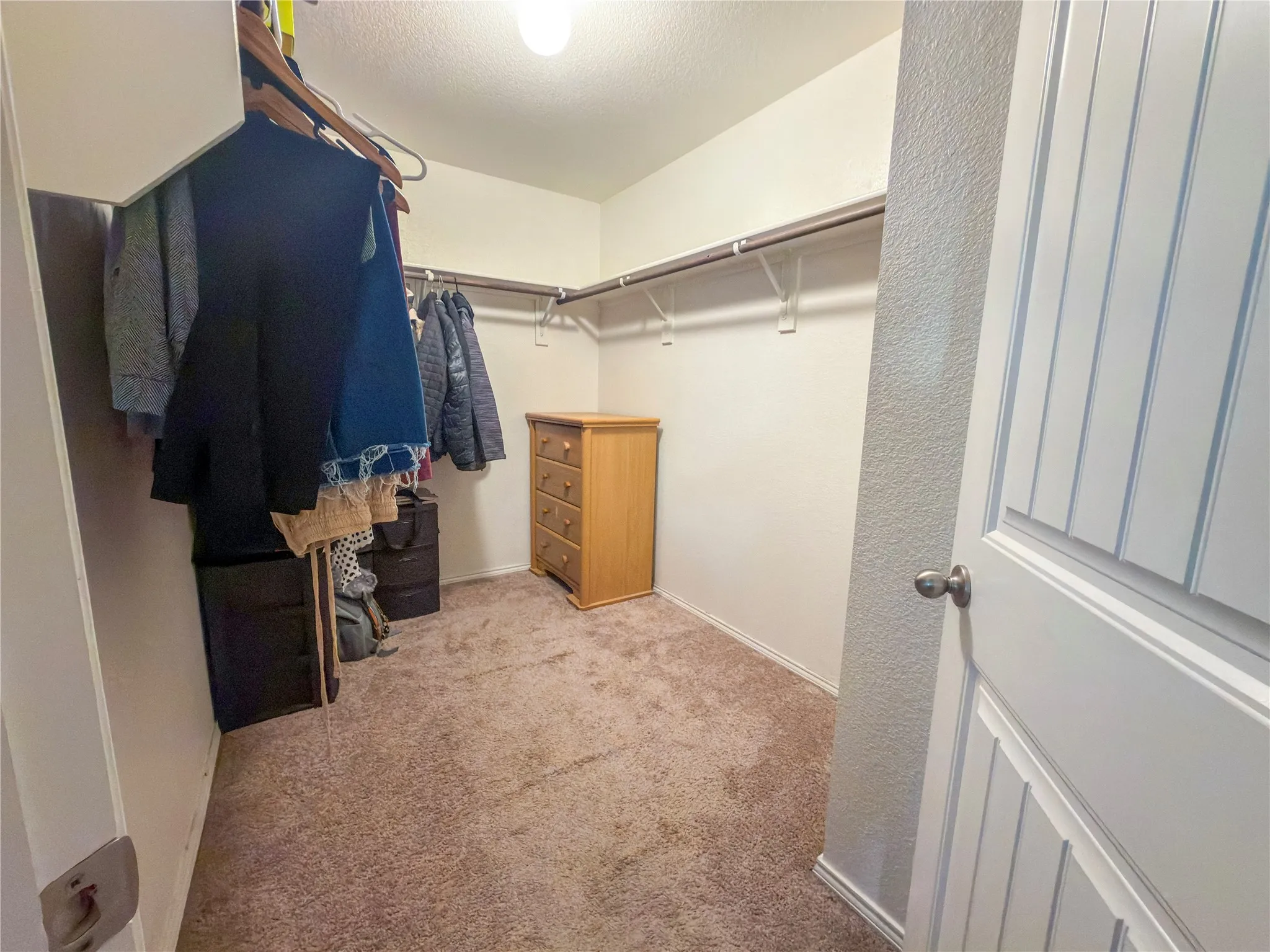 Walk-in closet featuring plush carpet flooring, a built-in hanging rod, and ceiling-mounted lighting
