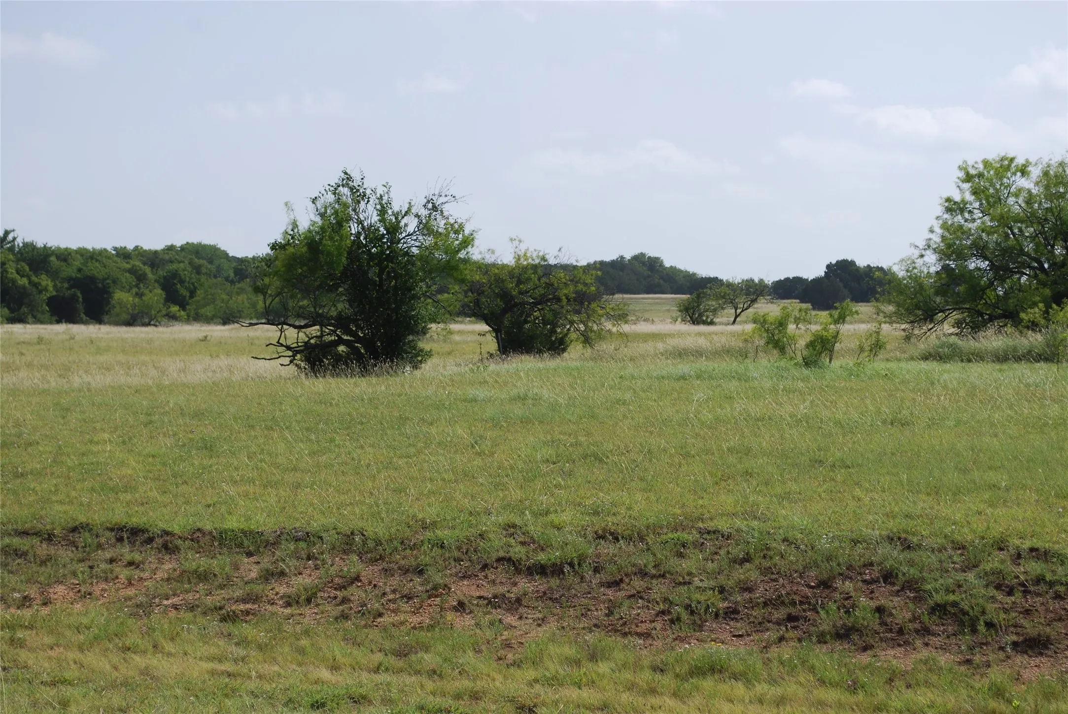 Unimproved Land For Sale in Hill County , 30001 Woodcrest Drive, Whitney, Texas 76692, 0, 0, Garage spaces, 0 Sqft, built in 0, mls#21327699, Real Estate Agent in Whitney, Homes For Sale in Hill county, Homes For Sale in Whitney, Realtor in Whitney Texas, Real Estate Brokerage Independent Realty Texas, Luminita Cordes Realtor