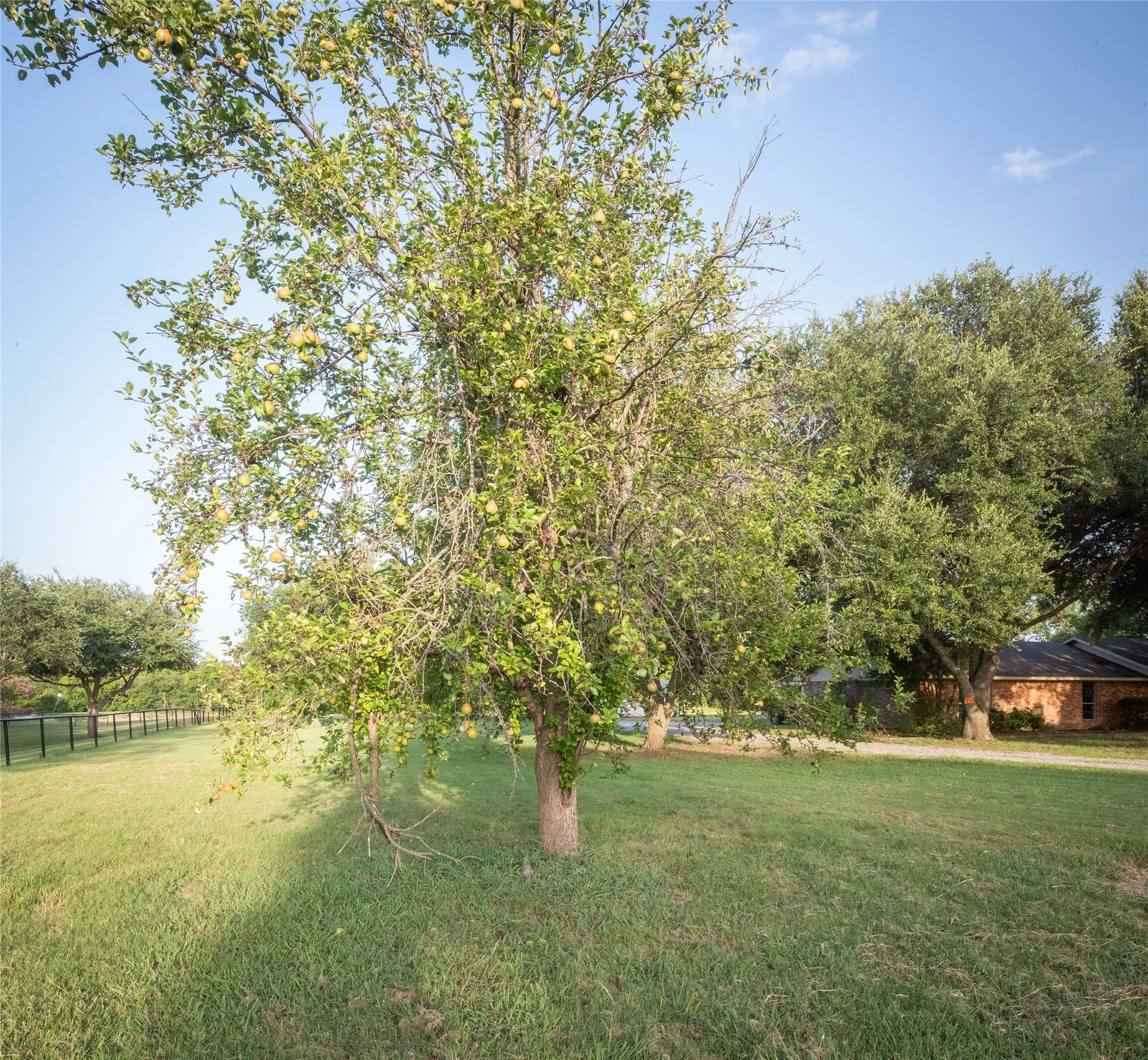 Single Family Residence For Sale in Collin County , 1850 Rock Ridge Road, Lucas, Texas 75002, 3 Bedroom, 2 Bathroom, Garage spaces, 2,142 Sqft, built in 1979, mls#21328248, Real Estate Agent in Lucas, Homes For Sale in Collin county, Homes For Sale in Lucas, Realtor in Lucas Texas, Real Estate Brokerage Independent Realty Texas, Luminita Cordes Realtor