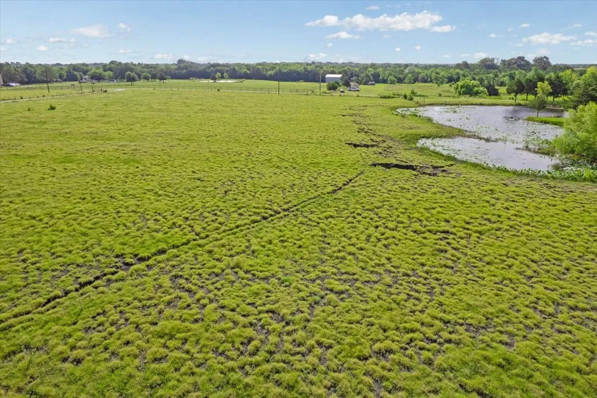 Front pasture and pond in southeastern portion of Property