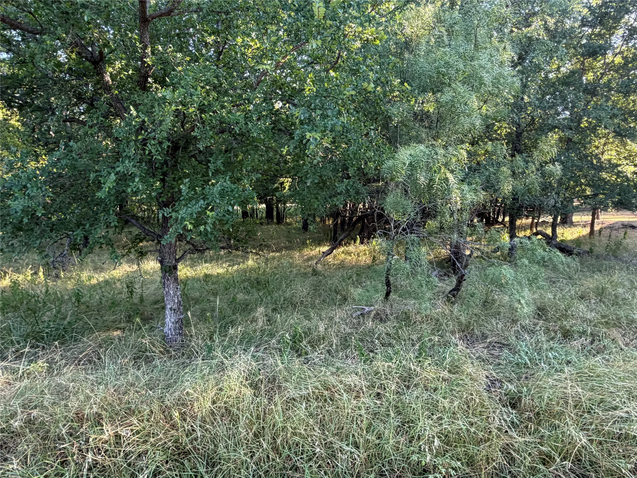 Unimproved Land For Sale in Brown County , Lot 591 Cypress Drive, May, Texas 76857, 0, 0, Garage spaces, 0 Sqft, built in 0, Price $15,000, mls#21328843, Real Estate Agent in May, Homes For Sale in Brown county, Homes For Sale in May, Realtor in May Texas, Real Estate Brokerage Independent Realty Texas, Luminita Cordes Realtor