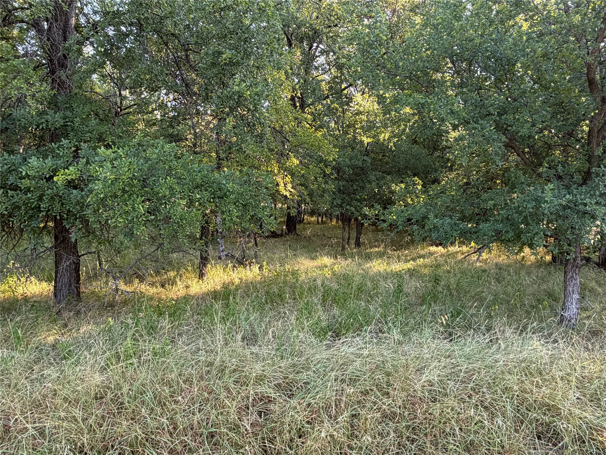 Unimproved Land For Sale in Brown County , Lot 591 Cypress Drive, May, Texas 76857, 0, 0, Garage spaces, 0 Sqft, built in 0, Price $15,000, mls#21328843, Real Estate Agent in May, Homes For Sale in Brown county, Homes For Sale in May, Realtor in May Texas, Real Estate Brokerage Independent Realty Texas, Luminita Cordes Realtor