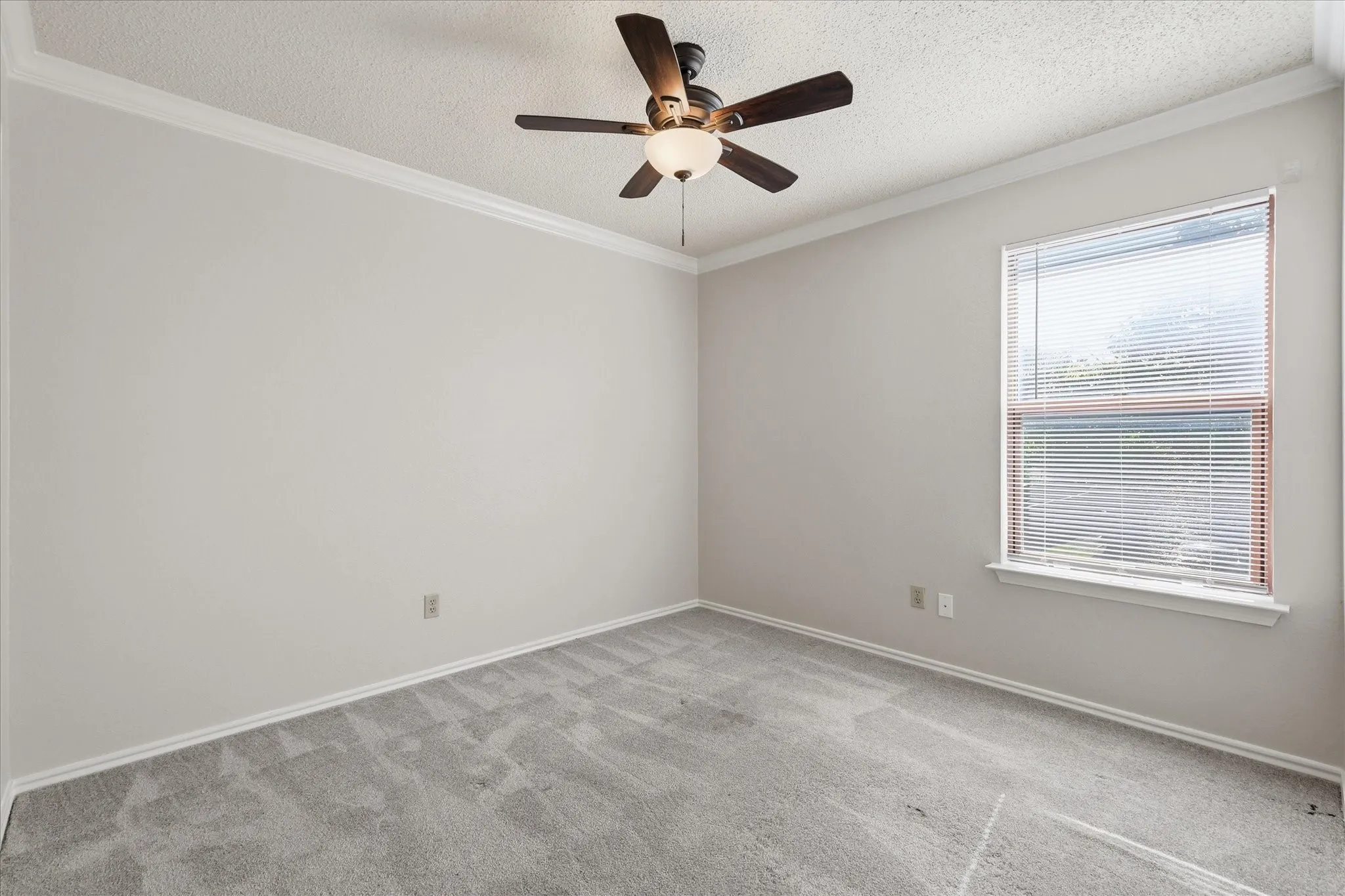 A bright, versatile bedroom with generous wall space, soft carpeting and a ceiling fan for year-round comfort.
