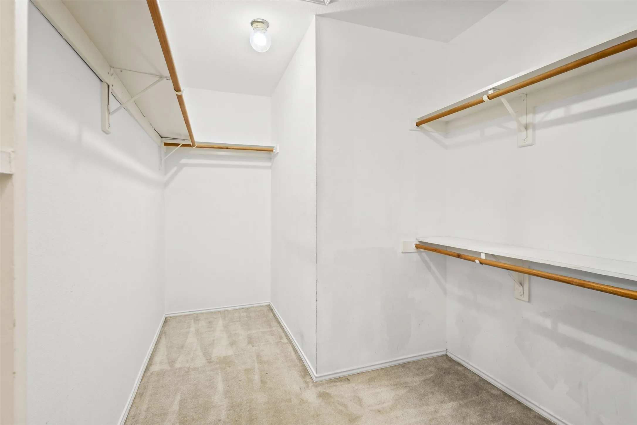 Walk-in closet featuring carpeted flooring, white walls, and built-in shelving with hanging rods