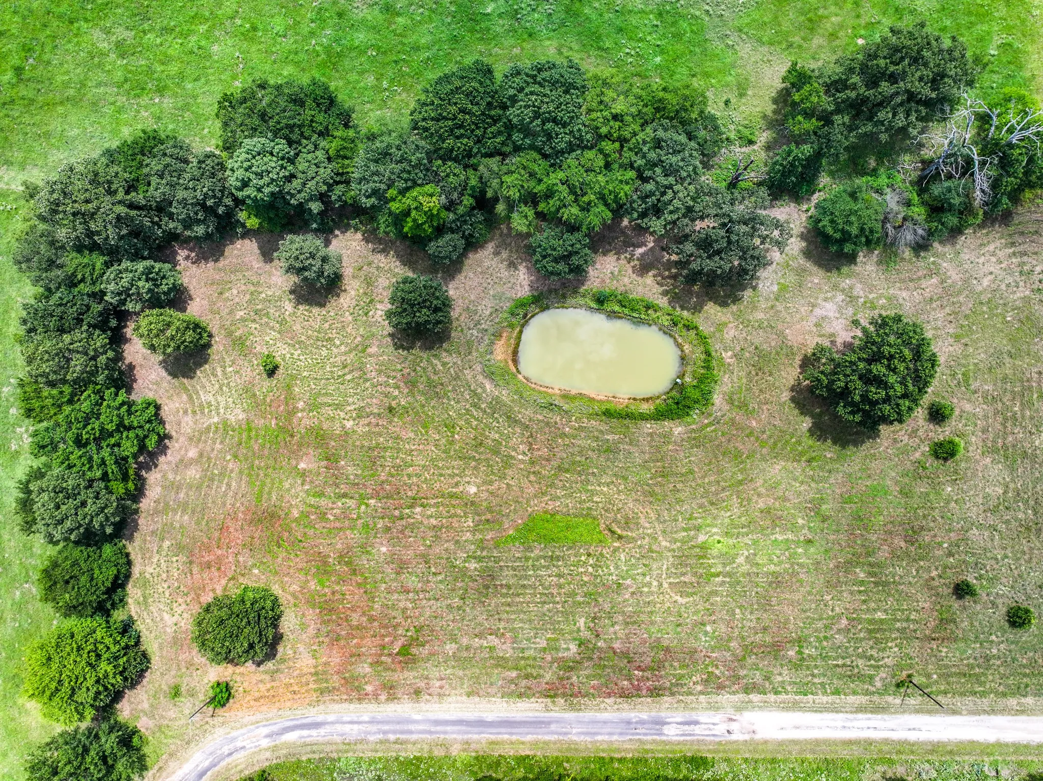 Expansive acreage featuring a natural pond, mature trees, open pasture, and a paved road frontage