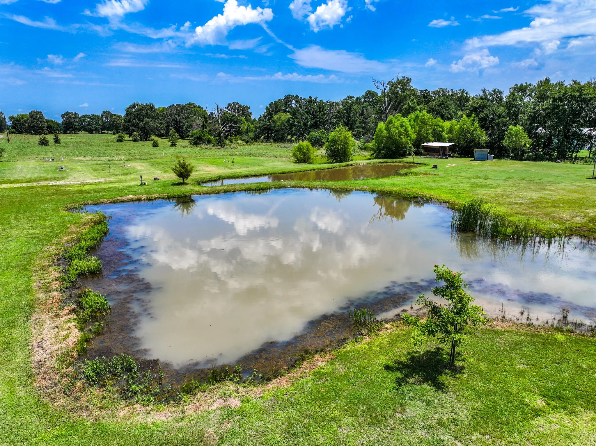 Two interconnected ponds surrounded by expansive green lawn and mature trees