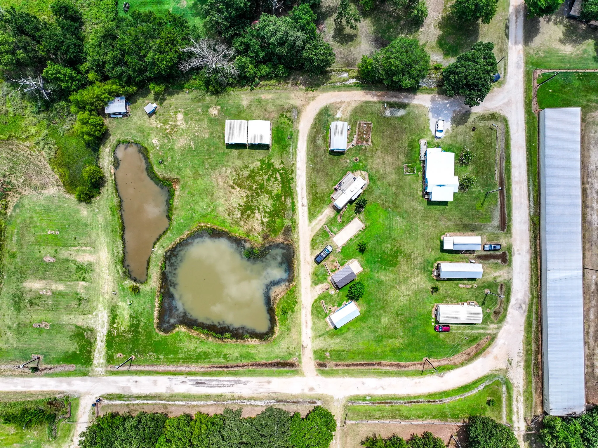 Expansive green acreage featuring multiple residential structures, two visible ponds, an extensive greenhouse, and a network of unpaved roads