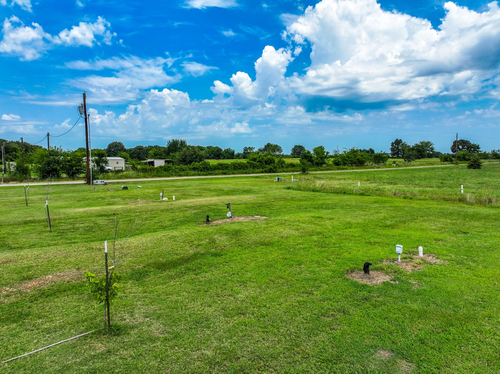 Expansive green lot with established infrastructure