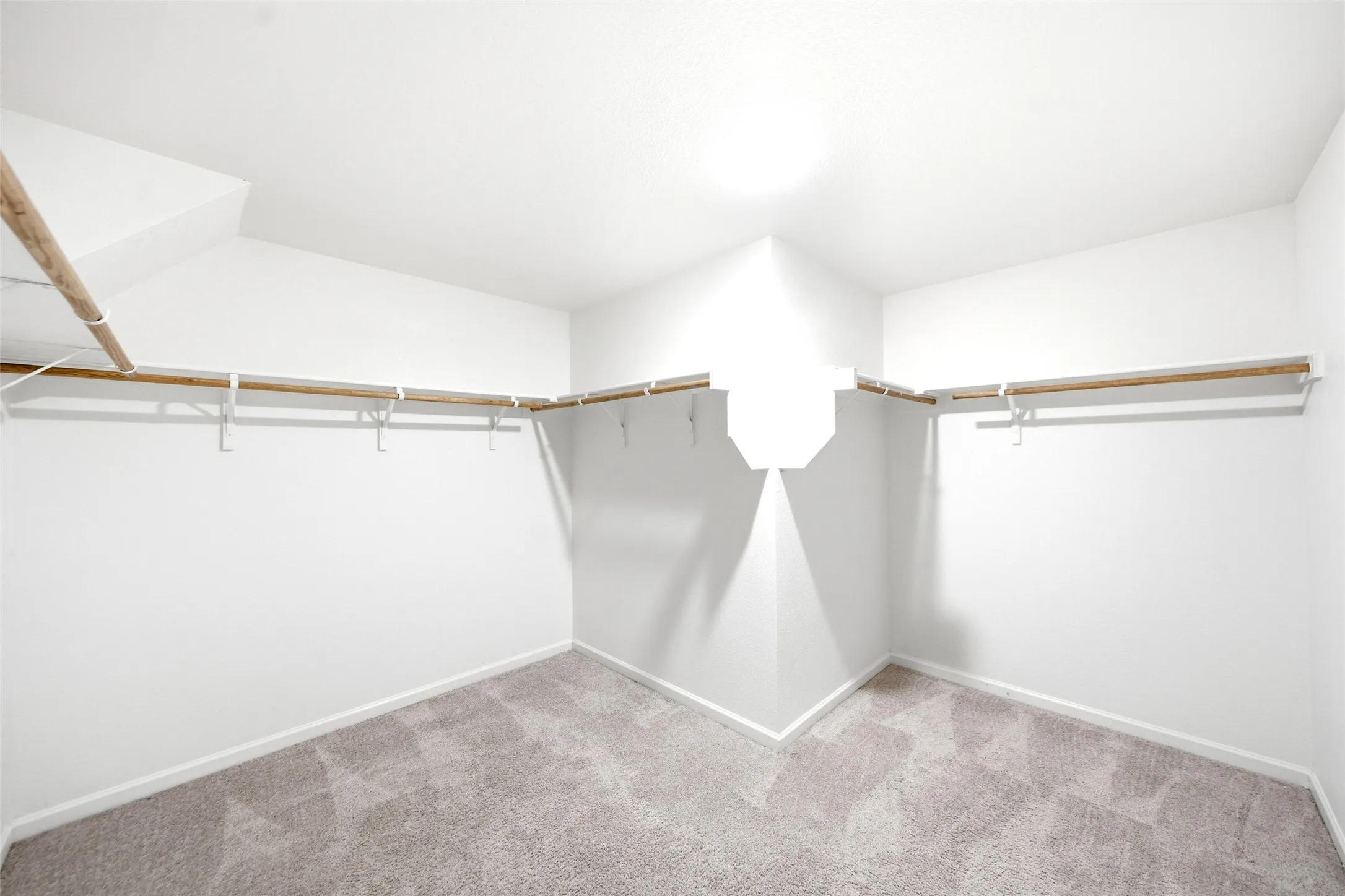 Spacious closet with light gray carpet and extensive built-in shelving