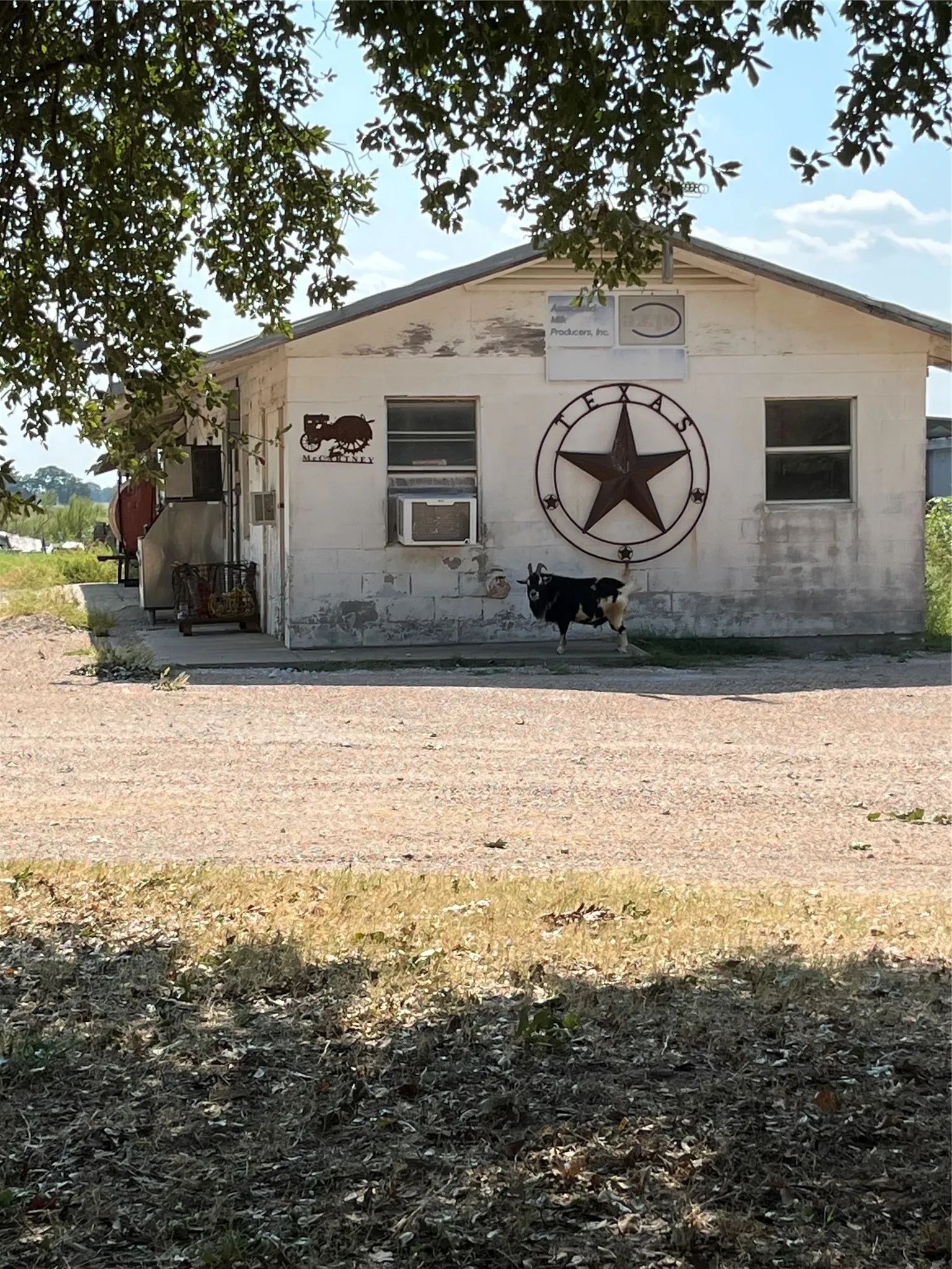 Farm For Sale in Mc Lennan County , 295 Rozell Pass, Waco, Texas 76705, 2 Bedroom, 1 Bathroom, Garage spaces, 2,044 Sqft, built in 1965, mls#21325154, Real Estate Agent in Waco, Homes For Sale in Mc Lennan county, Homes For Sale in Waco, Realtor in Waco Texas, Real Estate Brokerage Independent Realty Texas, Luminita Cordes Realtor