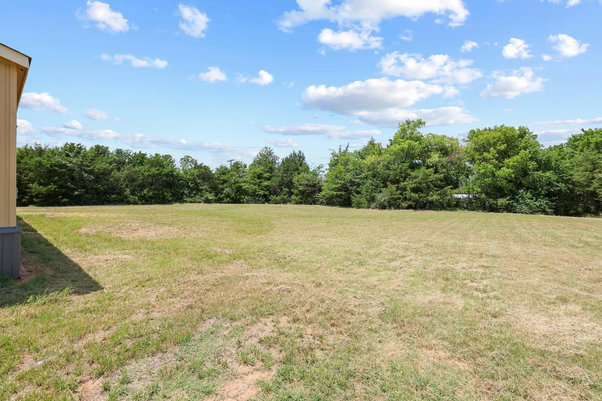 Expansive grassy area with mature trees forming a natural border