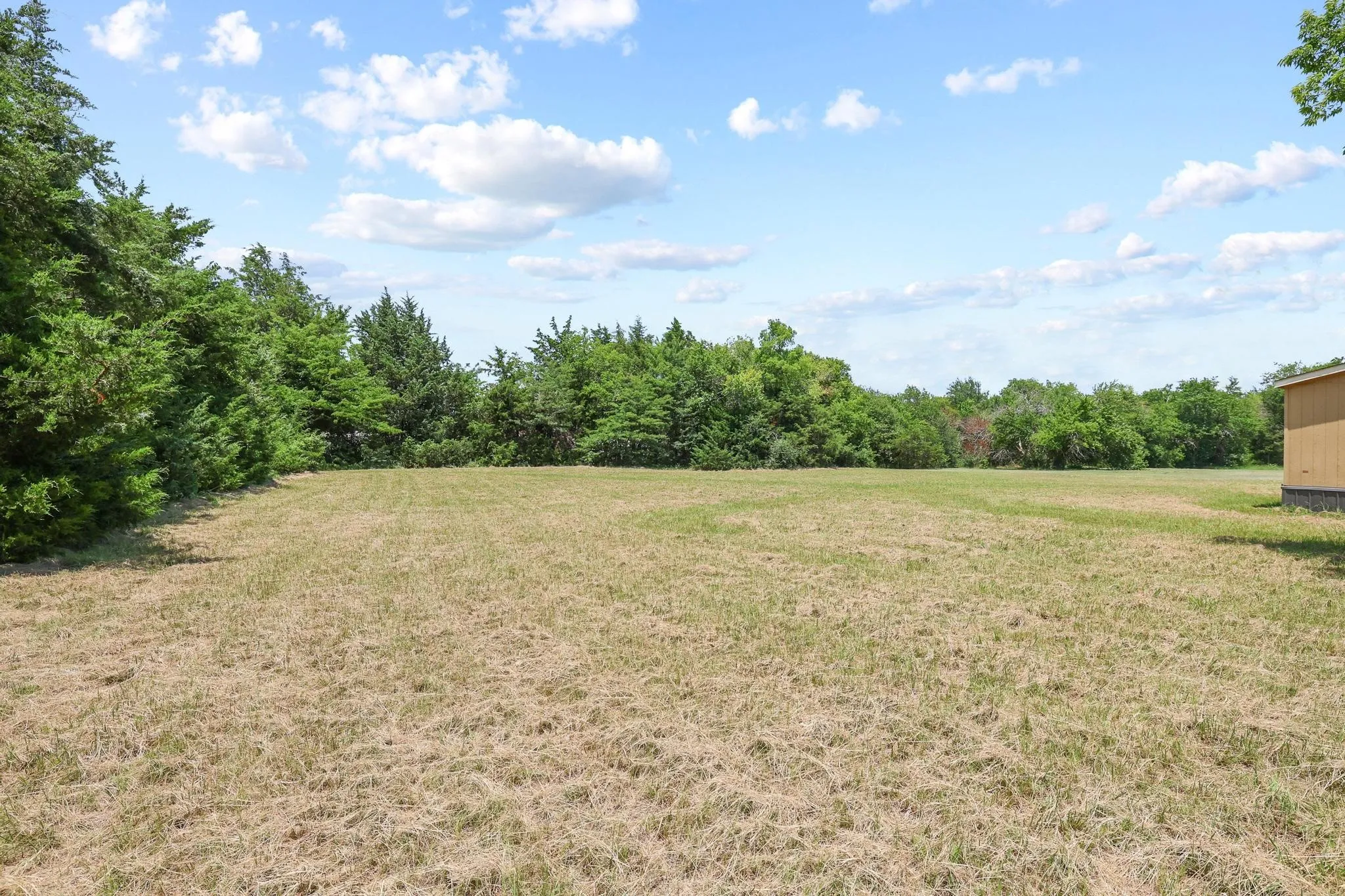 Expansive cleared lot bordered by mature trees, offering a private setting