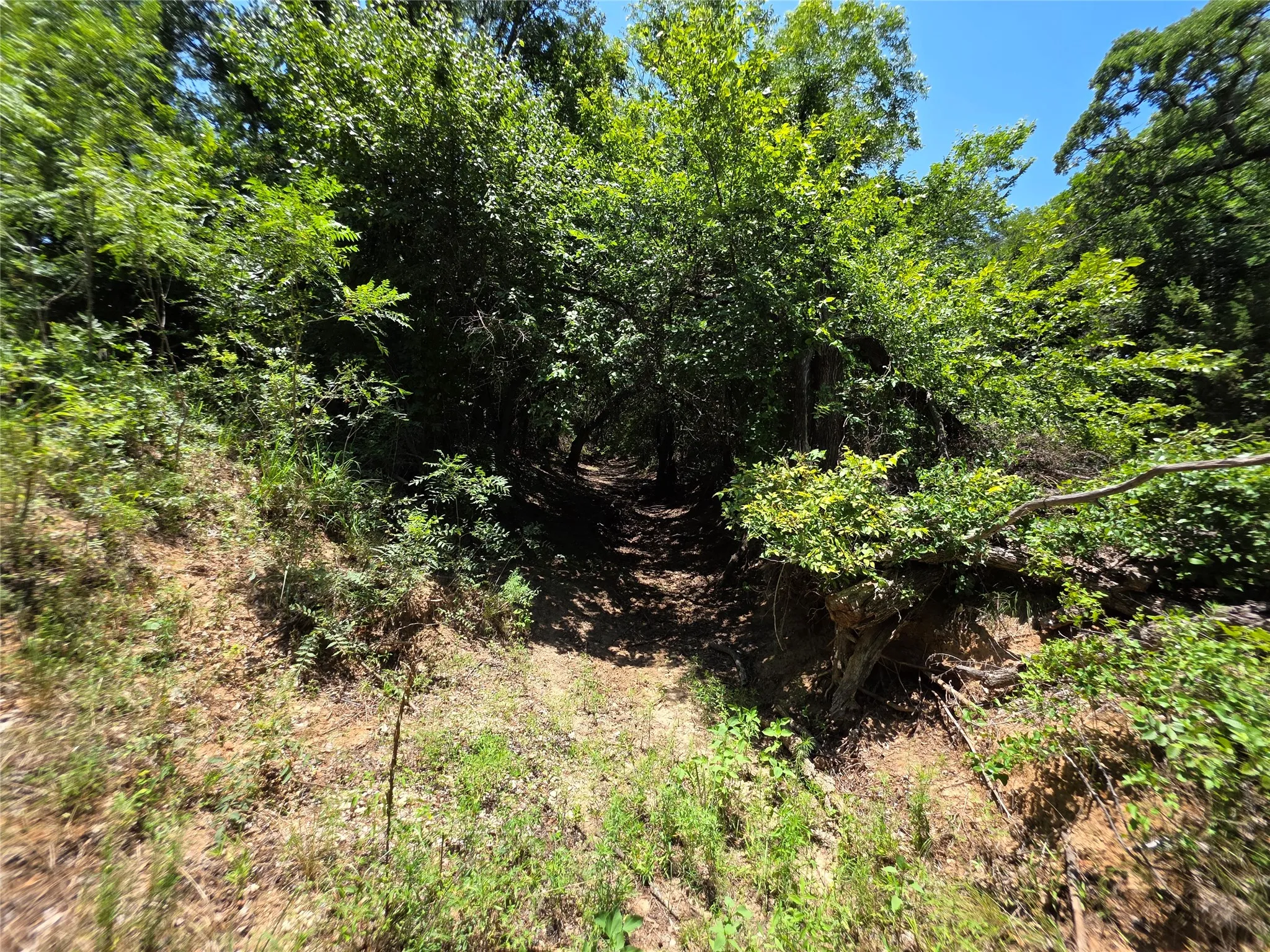 Ranch For Sale in Callahan County , 16695 County Road 421, Cross Plains, Texas 76443, 0, 0, Garage spaces, 0 Sqft, built in 0, Price $598,750, mls#21329069, Real Estate Agent in Cross Plains, Homes For Sale in Callahan county, Homes For Sale in Cross Plains, Realtor in Cross Plains Texas, Real Estate Brokerage Independent Realty Texas, Luminita Cordes Realtor