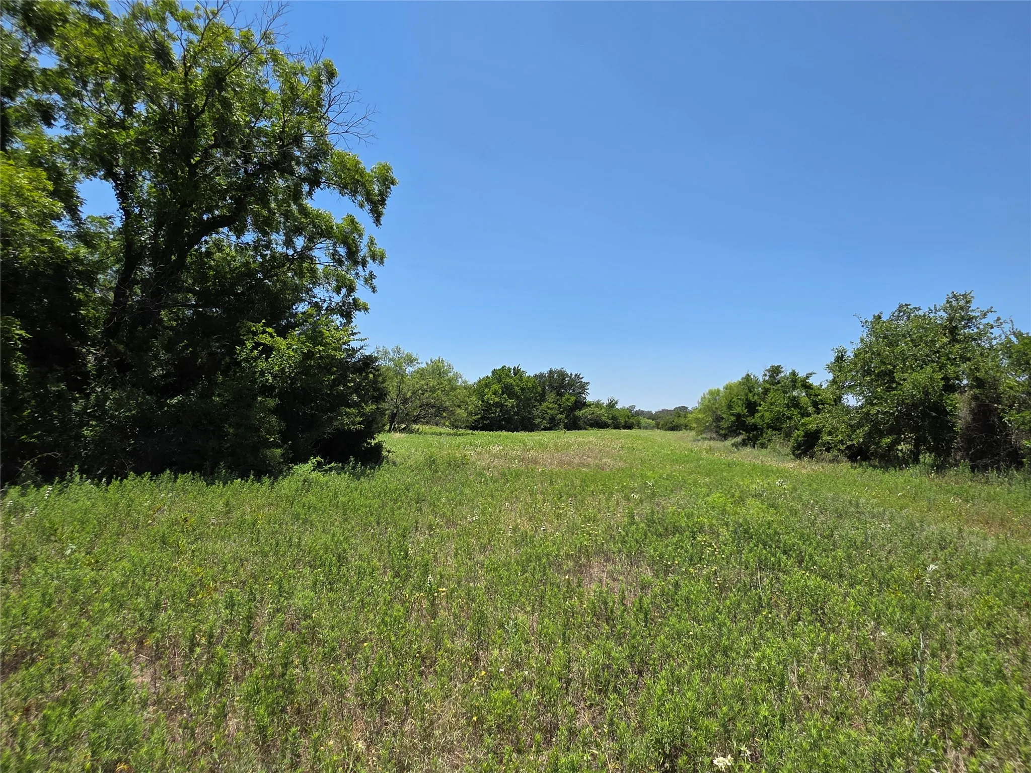 Ranch For Sale in Callahan County , 16695 County Road 421, Cross Plains, Texas 76443, 0, 0, Garage spaces, 0 Sqft, built in 0, Price $598,750, mls#21329069, Real Estate Agent in Cross Plains, Homes For Sale in Callahan county, Homes For Sale in Cross Plains, Realtor in Cross Plains Texas, Real Estate Brokerage Independent Realty Texas, Luminita Cordes Realtor
