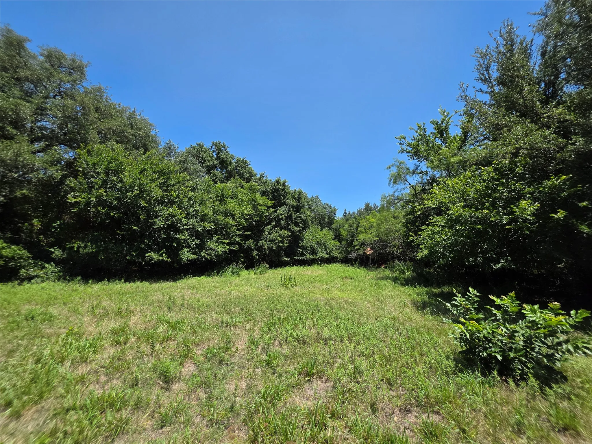 Ranch For Sale in Callahan County , 16695 County Road 421, Cross Plains, Texas 76443, 0, 0, Garage spaces, 0 Sqft, built in 0, Price $598,750, mls#21329069, Real Estate Agent in Cross Plains, Homes For Sale in Callahan county, Homes For Sale in Cross Plains, Realtor in Cross Plains Texas, Real Estate Brokerage Independent Realty Texas, Luminita Cordes Realtor