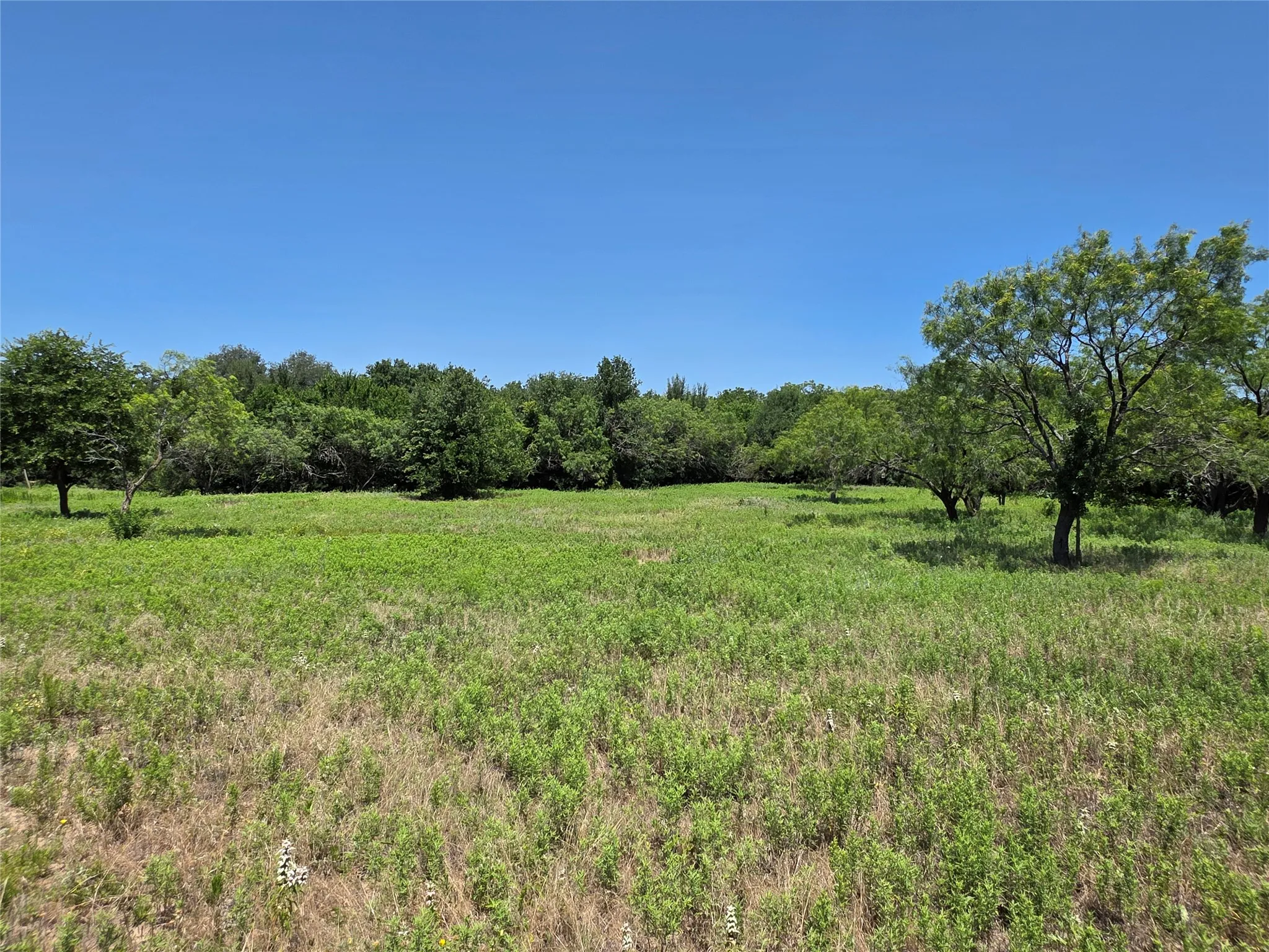 Ranch For Sale in Callahan County , 16695 County Road 421, Cross Plains, Texas 76443, 0, 0, Garage spaces, 0 Sqft, built in 0, Price $598,750, mls#21329069, Real Estate Agent in Cross Plains, Homes For Sale in Callahan county, Homes For Sale in Cross Plains, Realtor in Cross Plains Texas, Real Estate Brokerage Independent Realty Texas, Luminita Cordes Realtor