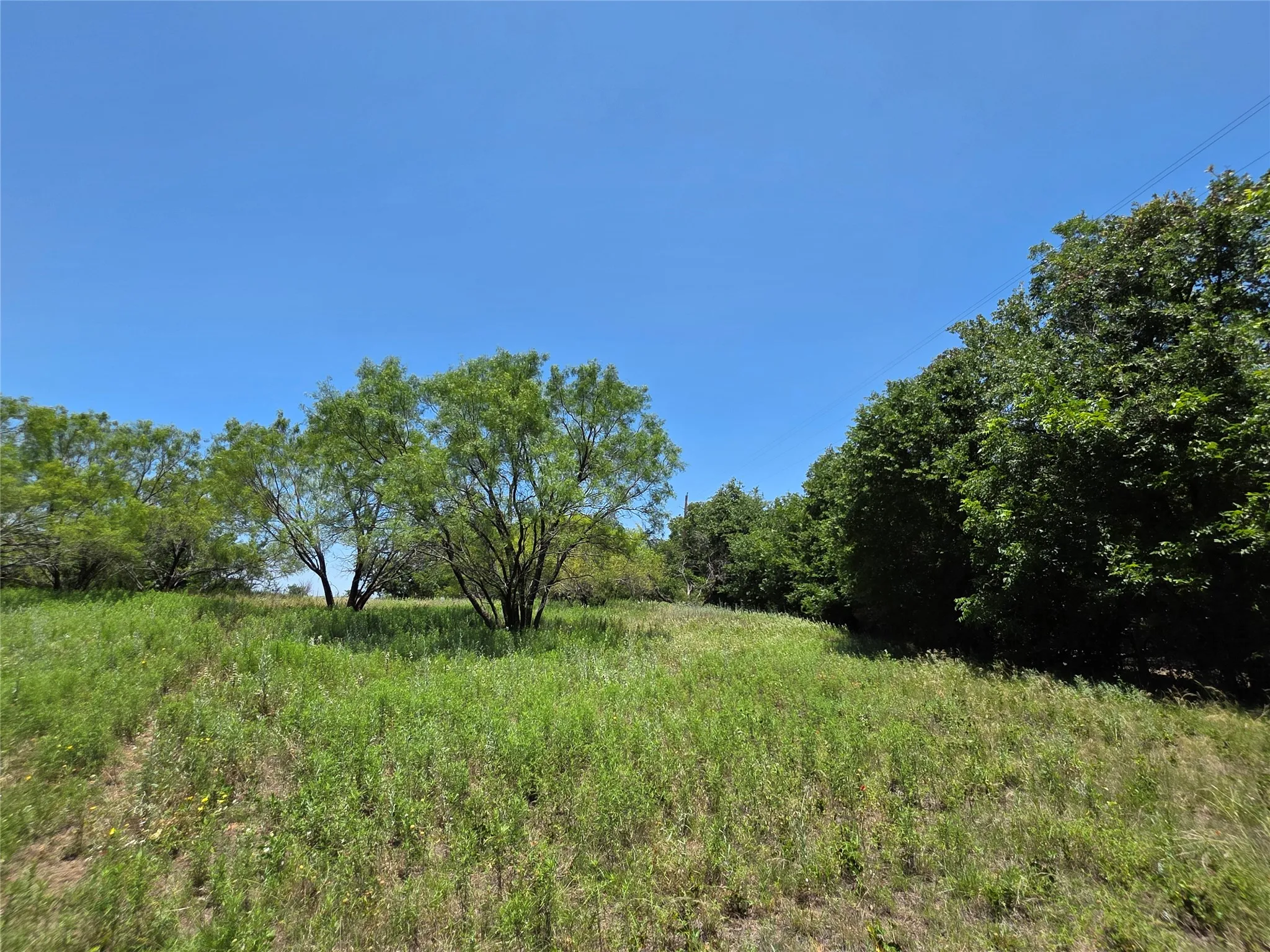 Ranch For Sale in Callahan County , 16695 County Road 421, Cross Plains, Texas 76443, 0, 0, Garage spaces, 0 Sqft, built in 0, Price $598,750, mls#21329069, Real Estate Agent in Cross Plains, Homes For Sale in Callahan county, Homes For Sale in Cross Plains, Realtor in Cross Plains Texas, Real Estate Brokerage Independent Realty Texas, Luminita Cordes Realtor