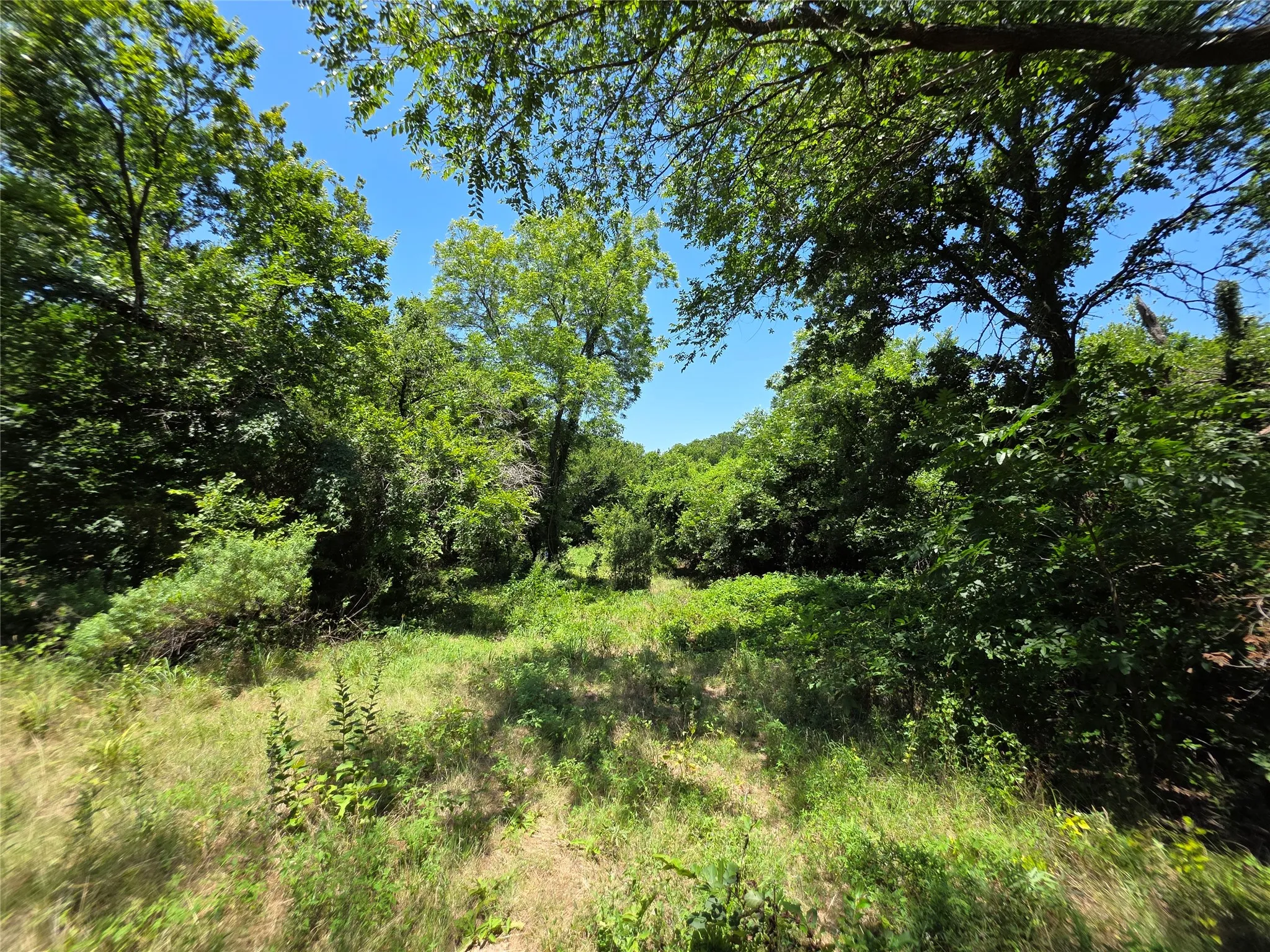 Ranch For Sale in Callahan County , 16695 County Road 421, Cross Plains, Texas 76443, 0, 0, Garage spaces, 0 Sqft, built in 0, Price $598,750, mls#21329069, Real Estate Agent in Cross Plains, Homes For Sale in Callahan county, Homes For Sale in Cross Plains, Realtor in Cross Plains Texas, Real Estate Brokerage Independent Realty Texas, Luminita Cordes Realtor