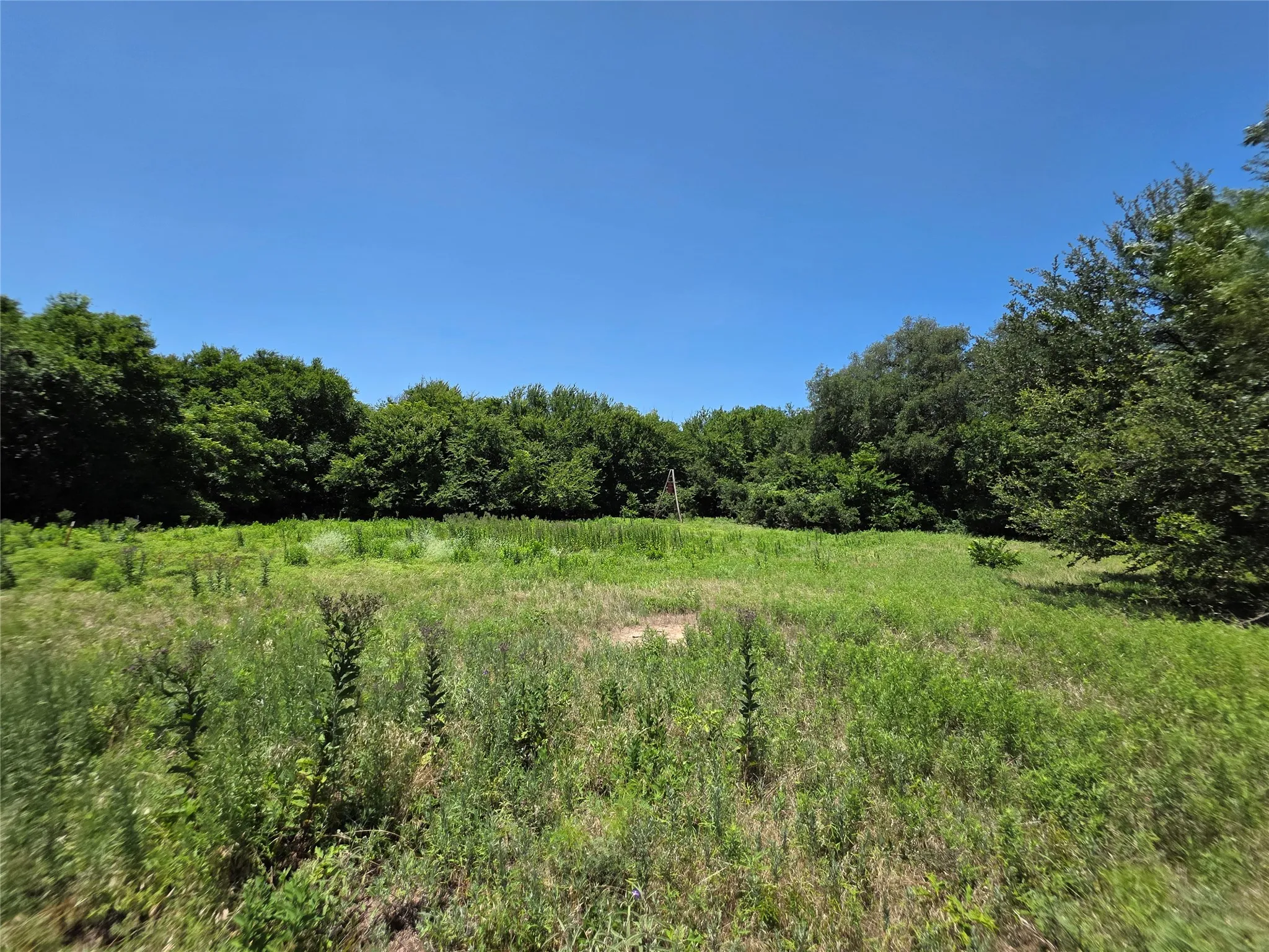 Ranch For Sale in Callahan County , 16695 County Road 421, Cross Plains, Texas 76443, 0, 0, Garage spaces, 0 Sqft, built in 0, Price $598,750, mls#21329069, Real Estate Agent in Cross Plains, Homes For Sale in Callahan county, Homes For Sale in Cross Plains, Realtor in Cross Plains Texas, Real Estate Brokerage Independent Realty Texas, Luminita Cordes Realtor