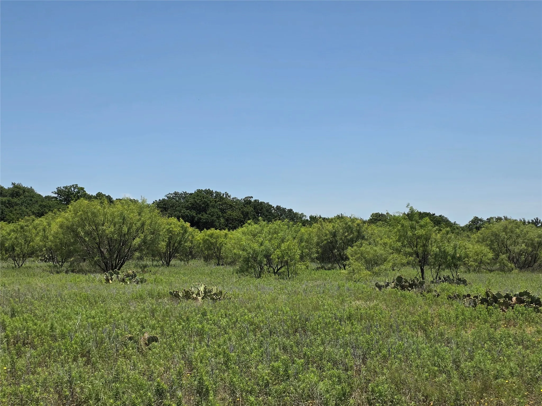 Ranch For Sale in Callahan County , 16695 County Road 421, Cross Plains, Texas 76443, 0, 0, Garage spaces, 0 Sqft, built in 0, Price $598,750, mls#21329069, Real Estate Agent in Cross Plains, Homes For Sale in Callahan county, Homes For Sale in Cross Plains, Realtor in Cross Plains Texas, Real Estate Brokerage Independent Realty Texas, Luminita Cordes Realtor