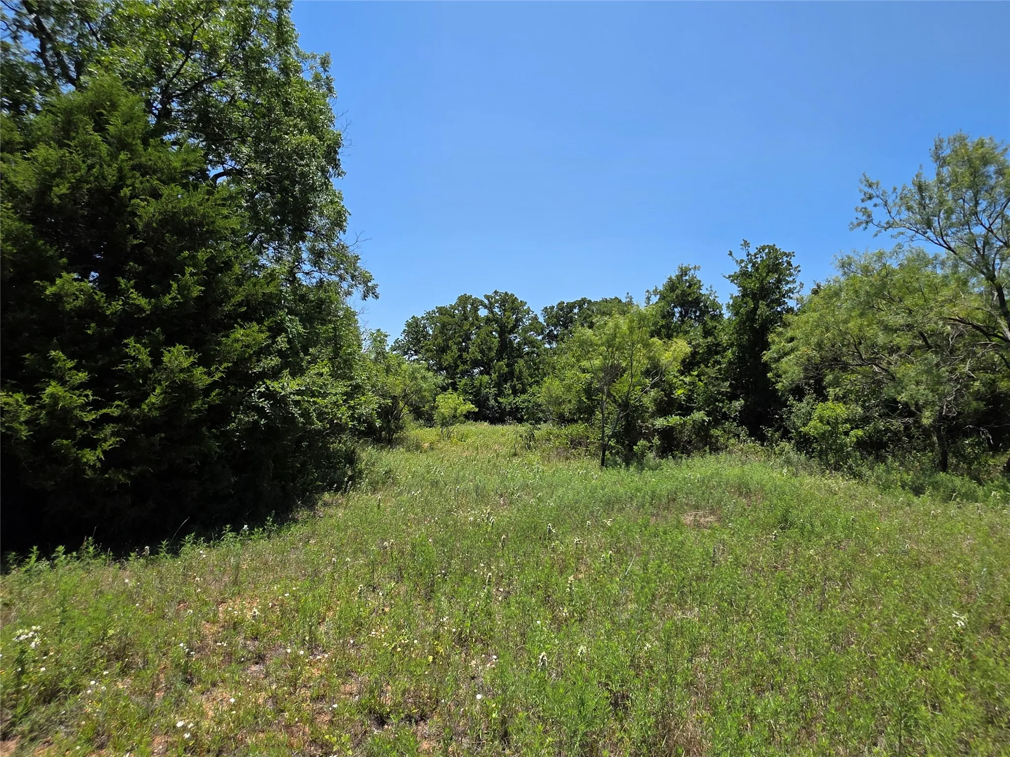 Ranch For Sale in Callahan County , 16695 County Road 421, Cross Plains, Texas 76443, 0, 0, Garage spaces, 0 Sqft, built in 0, Price $598,750, mls#21329069, Real Estate Agent in Cross Plains, Homes For Sale in Callahan county, Homes For Sale in Cross Plains, Realtor in Cross Plains Texas, Real Estate Brokerage Independent Realty Texas, Luminita Cordes Realtor