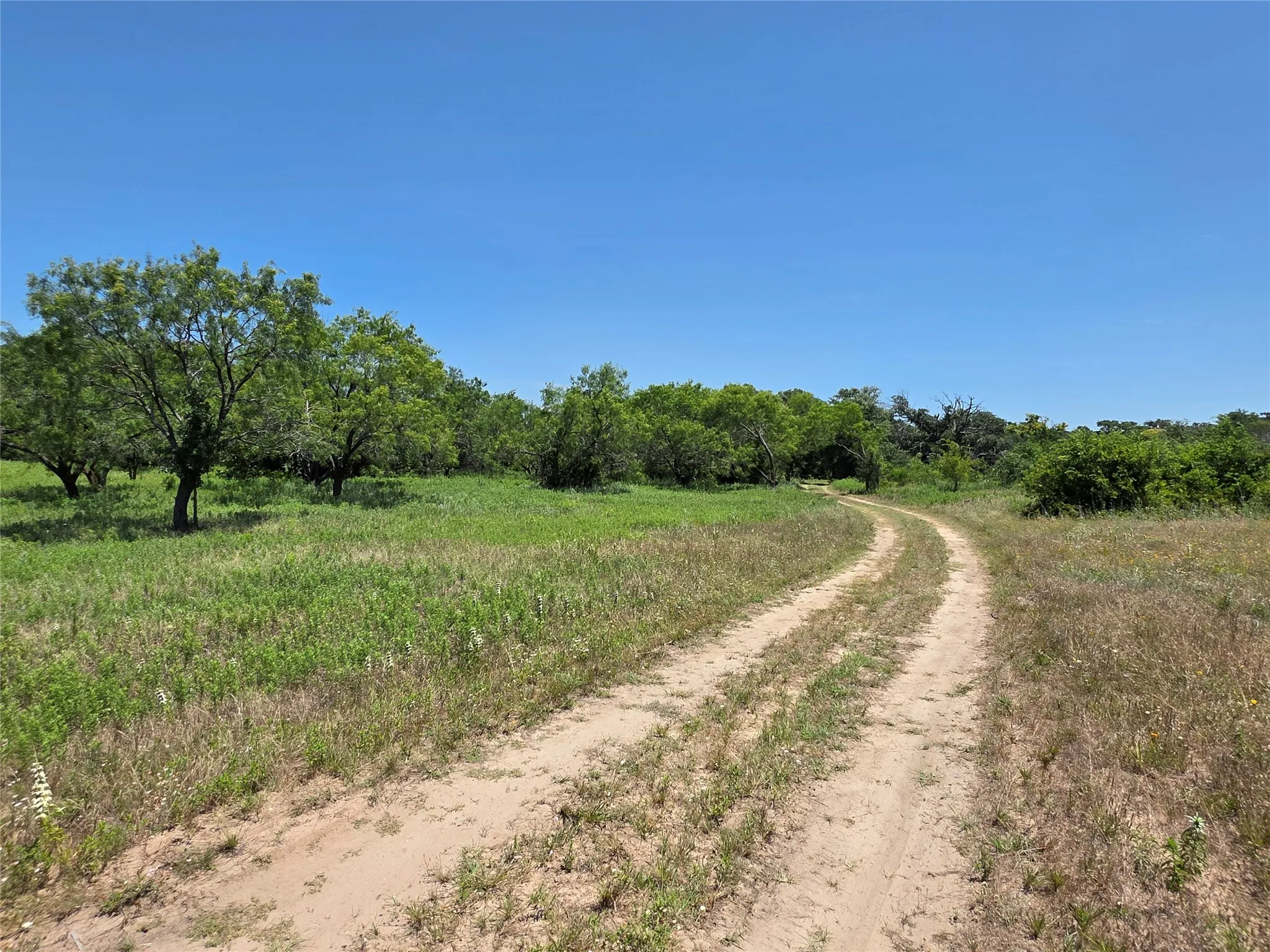 Ranch For Sale in Callahan County , 16695 County Road 421, Cross Plains, Texas 76443, 0, 0, Garage spaces, 0 Sqft, built in 0, Price $598,750, mls#21329069, Real Estate Agent in Cross Plains, Homes For Sale in Callahan county, Homes For Sale in Cross Plains, Realtor in Cross Plains Texas, Real Estate Brokerage Independent Realty Texas, Luminita Cordes Realtor