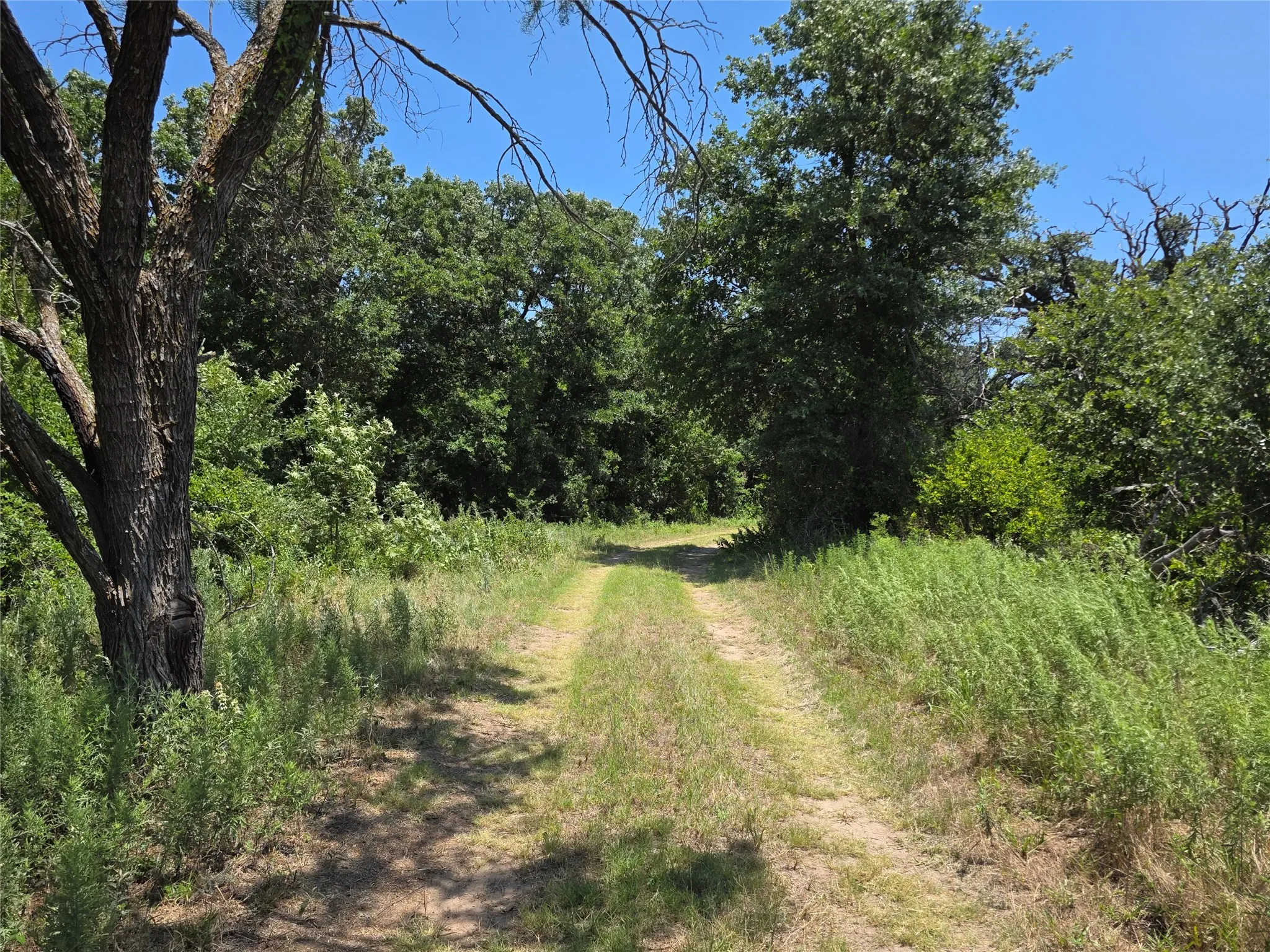 Ranch For Sale in Callahan County , 16695 County Road 421, Cross Plains, Texas 76443, 0, 0, Garage spaces, 0 Sqft, built in 0, Price $598,750, mls#21329069, Real Estate Agent in Cross Plains, Homes For Sale in Callahan county, Homes For Sale in Cross Plains, Realtor in Cross Plains Texas, Real Estate Brokerage Independent Realty Texas, Luminita Cordes Realtor