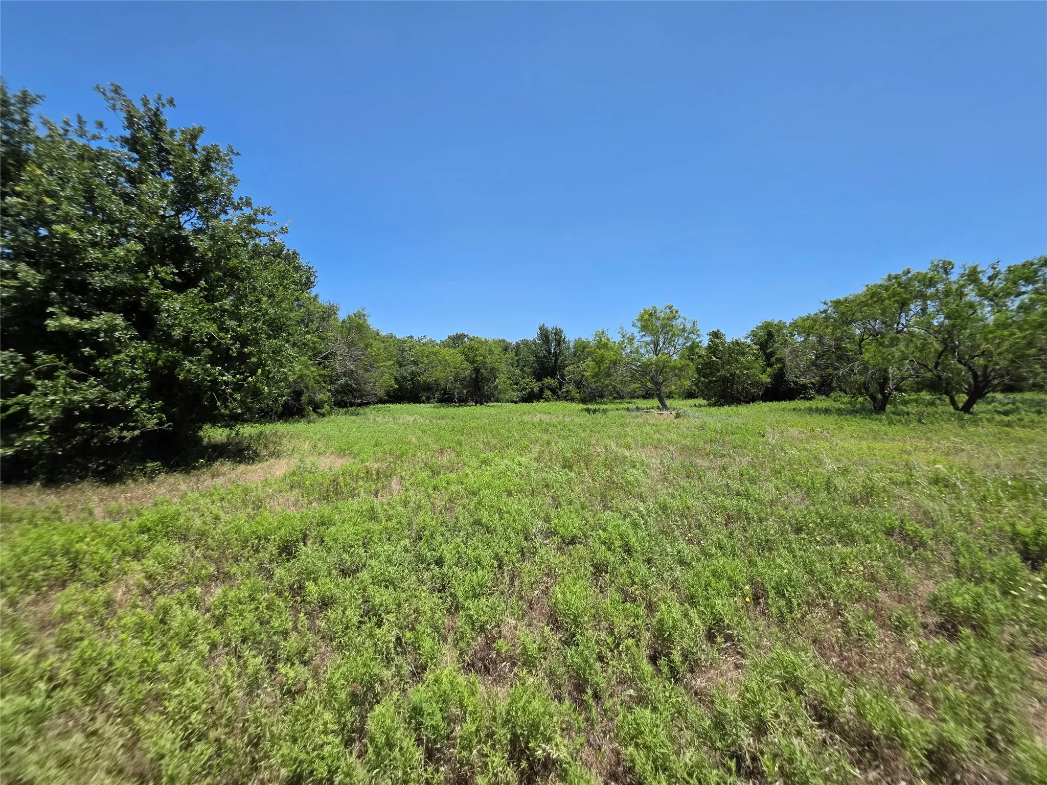 Ranch For Sale in Callahan County , 16695 County Road 421, Cross Plains, Texas 76443, 0, 0, Garage spaces, 0 Sqft, built in 0, Price $598,750, mls#21329069, Real Estate Agent in Cross Plains, Homes For Sale in Callahan county, Homes For Sale in Cross Plains, Realtor in Cross Plains Texas, Real Estate Brokerage Independent Realty Texas, Luminita Cordes Realtor