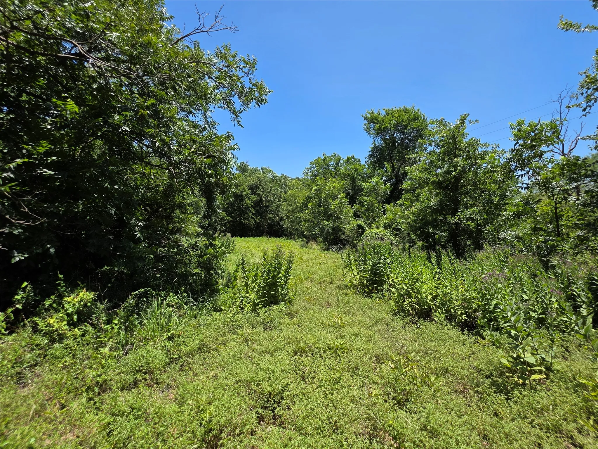 Ranch For Sale in Callahan County , 16695 County Road 421, Cross Plains, Texas 76443, 0, 0, Garage spaces, 0 Sqft, built in 0, Price $598,750, mls#21329069, Real Estate Agent in Cross Plains, Homes For Sale in Callahan county, Homes For Sale in Cross Plains, Realtor in Cross Plains Texas, Real Estate Brokerage Independent Realty Texas, Luminita Cordes Realtor