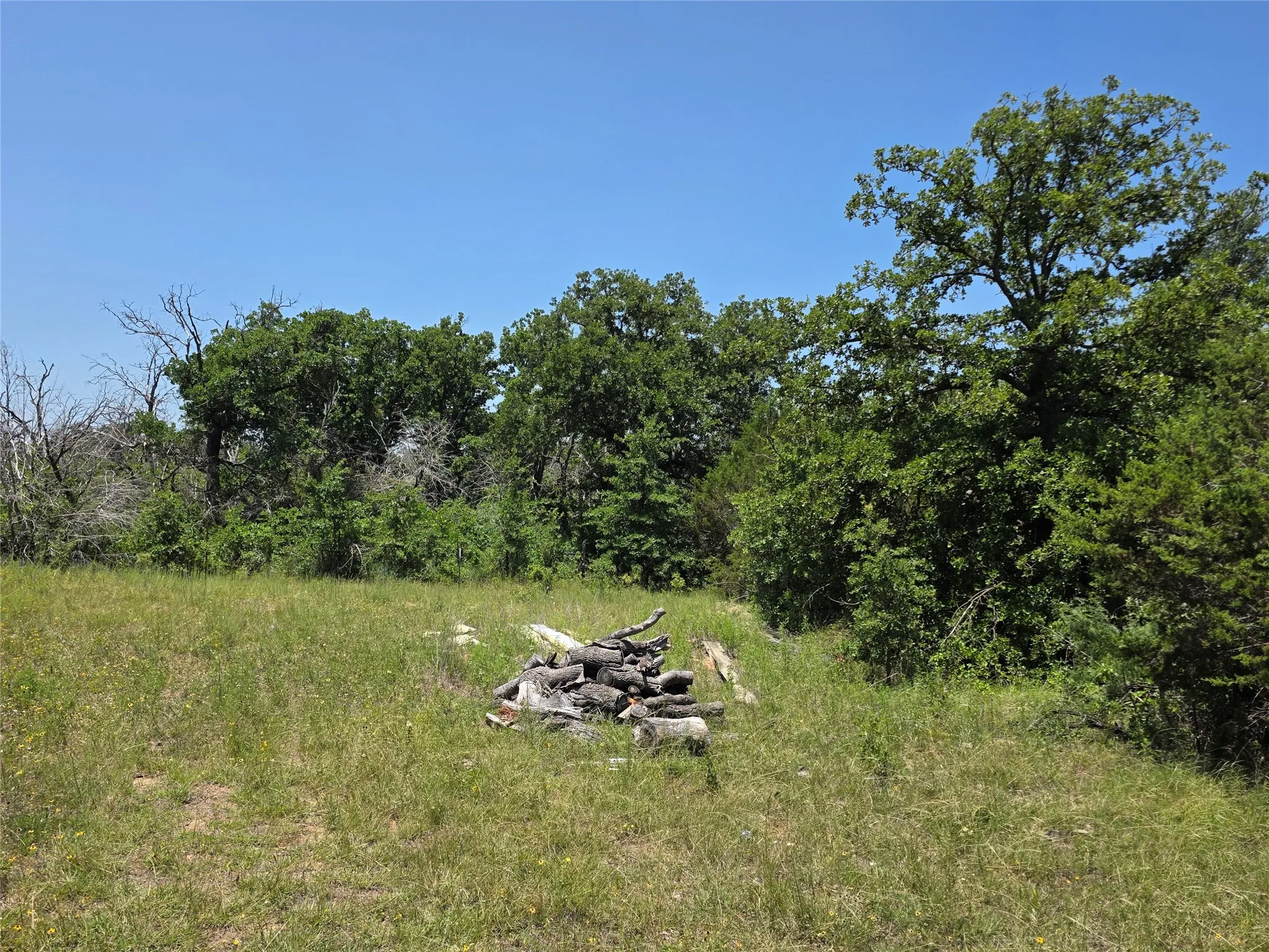 Ranch For Sale in Callahan County , 16695 County Road 421, Cross Plains, Texas 76443, 0, 0, Garage spaces, 0 Sqft, built in 0, Price $598,750, mls#21329069, Real Estate Agent in Cross Plains, Homes For Sale in Callahan county, Homes For Sale in Cross Plains, Realtor in Cross Plains Texas, Real Estate Brokerage Independent Realty Texas, Luminita Cordes Realtor