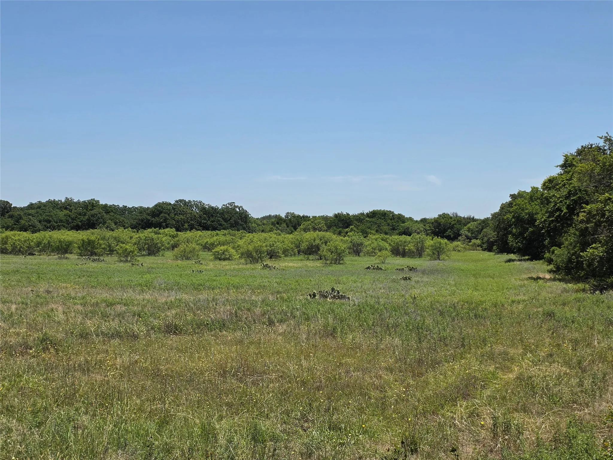 Ranch For Sale in Callahan County , 16695 County Road 421, Cross Plains, Texas 76443, 0, 0, Garage spaces, 0 Sqft, built in 0, Price $598,750, mls#21329069, Real Estate Agent in Cross Plains, Homes For Sale in Callahan county, Homes For Sale in Cross Plains, Realtor in Cross Plains Texas, Real Estate Brokerage Independent Realty Texas, Luminita Cordes Realtor