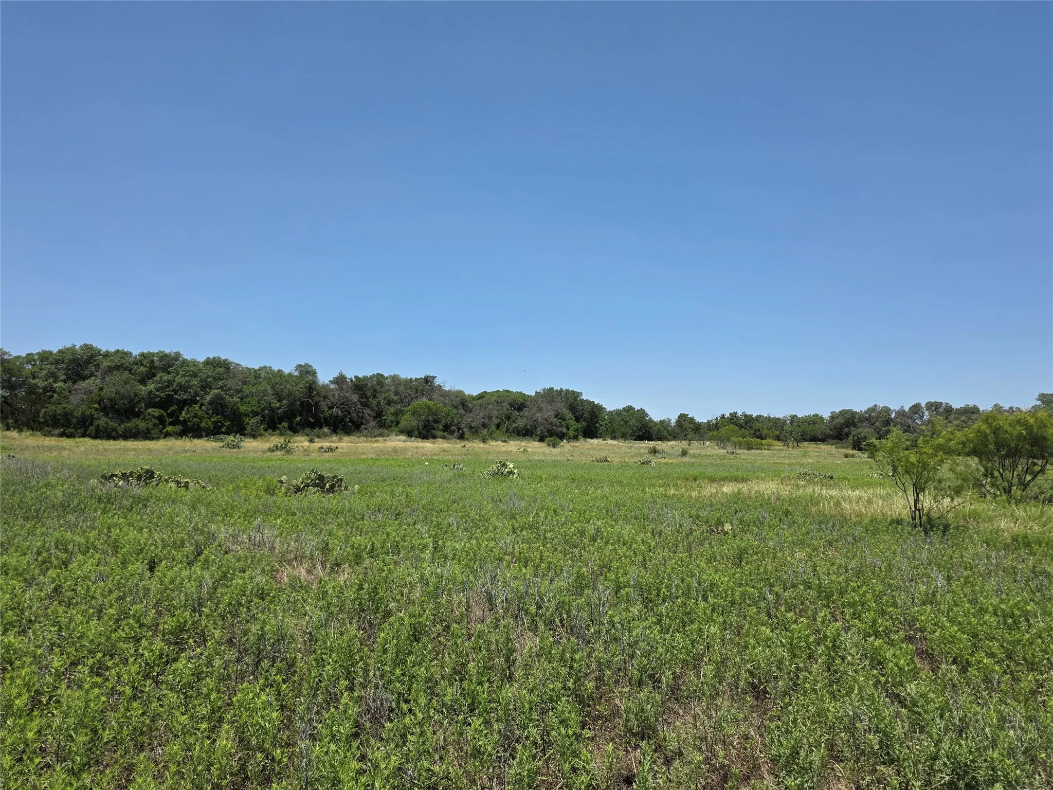 Ranch For Sale in Callahan County , 16695 County Road 421, Cross Plains, Texas 76443, 0, 0, Garage spaces, 0 Sqft, built in 0, Price $598,750, mls#21329069, Real Estate Agent in Cross Plains, Homes For Sale in Callahan county, Homes For Sale in Cross Plains, Realtor in Cross Plains Texas, Real Estate Brokerage Independent Realty Texas, Luminita Cordes Realtor