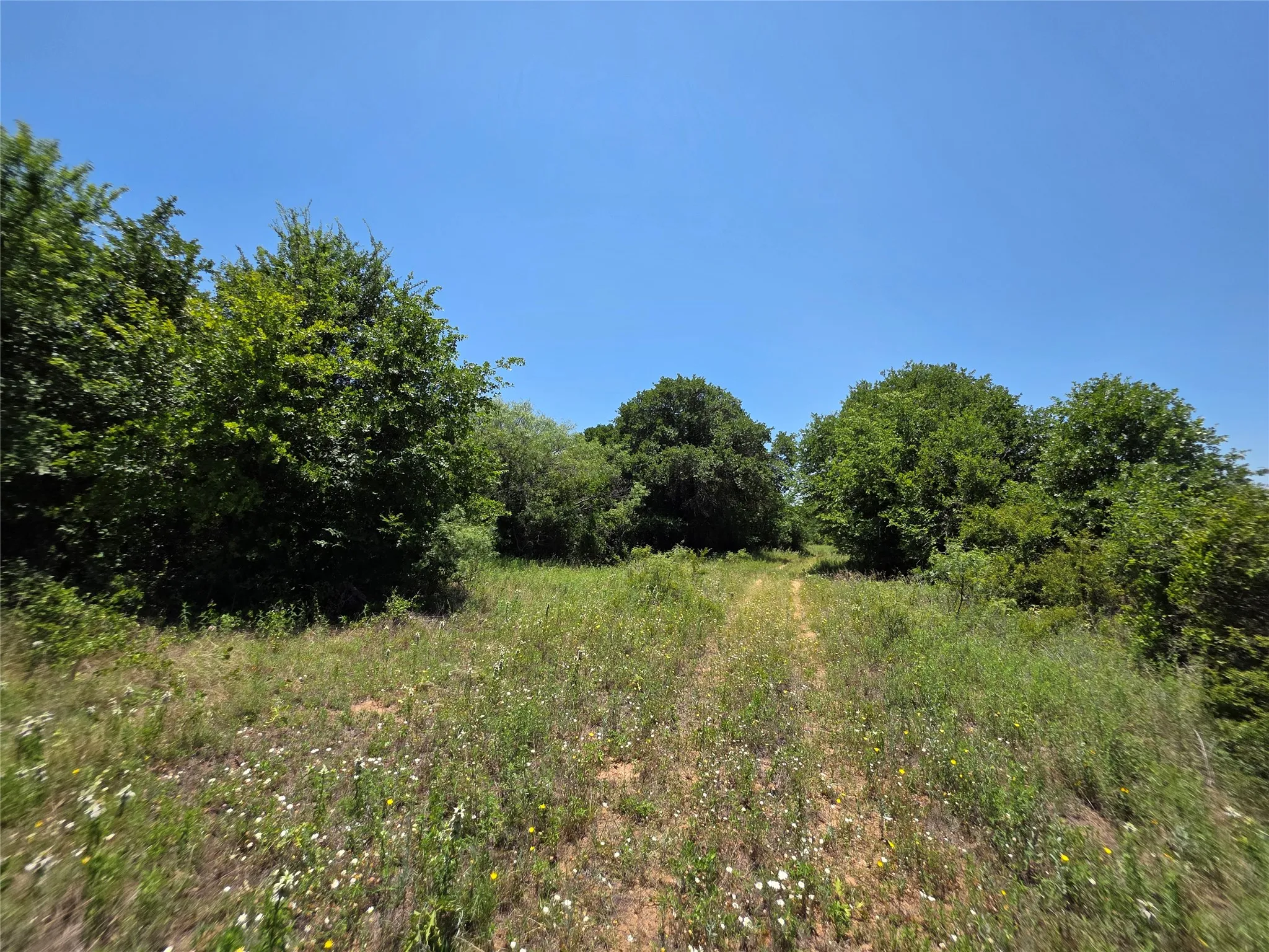 Ranch For Sale in Callahan County , 16695 County Road 421, Cross Plains, Texas 76443, 0, 0, Garage spaces, 0 Sqft, built in 0, Price $598,750, mls#21329069, Real Estate Agent in Cross Plains, Homes For Sale in Callahan county, Homes For Sale in Cross Plains, Realtor in Cross Plains Texas, Real Estate Brokerage Independent Realty Texas, Luminita Cordes Realtor