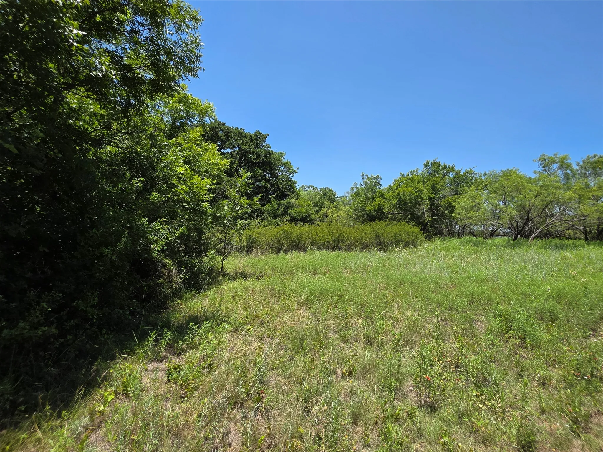 Ranch For Sale in Callahan County , 16695 County Road 421, Cross Plains, Texas 76443, 0, 0, Garage spaces, 0 Sqft, built in 0, Price $598,750, mls#21329069, Real Estate Agent in Cross Plains, Homes For Sale in Callahan county, Homes For Sale in Cross Plains, Realtor in Cross Plains Texas, Real Estate Brokerage Independent Realty Texas, Luminita Cordes Realtor