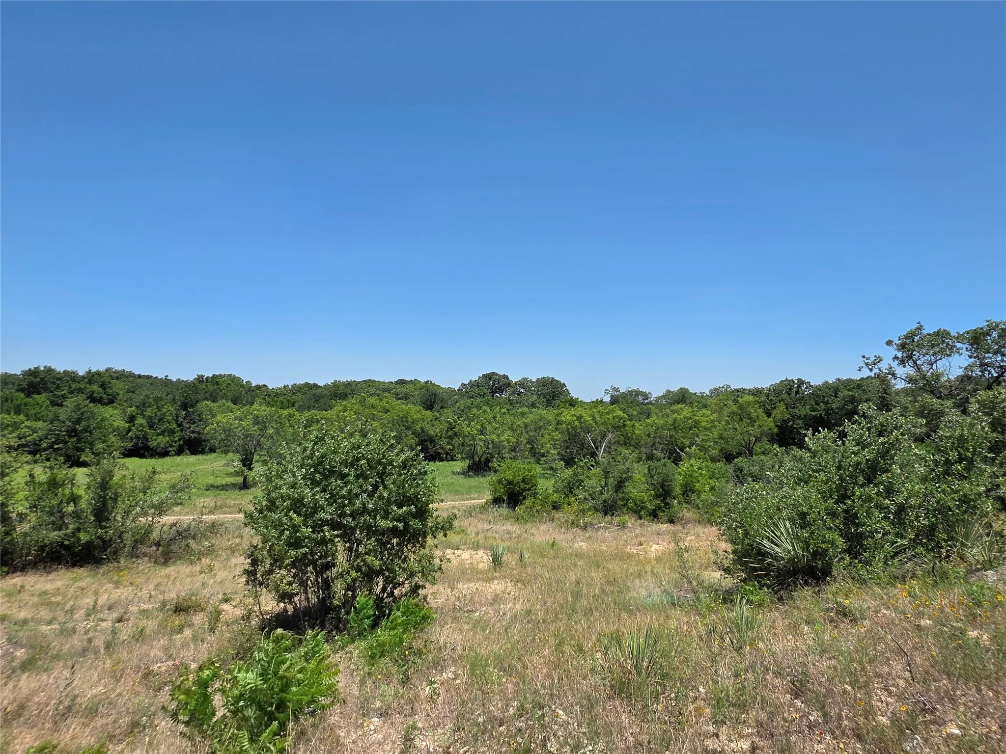 Ranch For Sale in Callahan County , 16695 County Road 421, Cross Plains, Texas 76443, 0, 0, Garage spaces, 0 Sqft, built in 0, Price $598,750, mls#21329069, Real Estate Agent in Cross Plains, Homes For Sale in Callahan county, Homes For Sale in Cross Plains, Realtor in Cross Plains Texas, Real Estate Brokerage Independent Realty Texas, Luminita Cordes Realtor