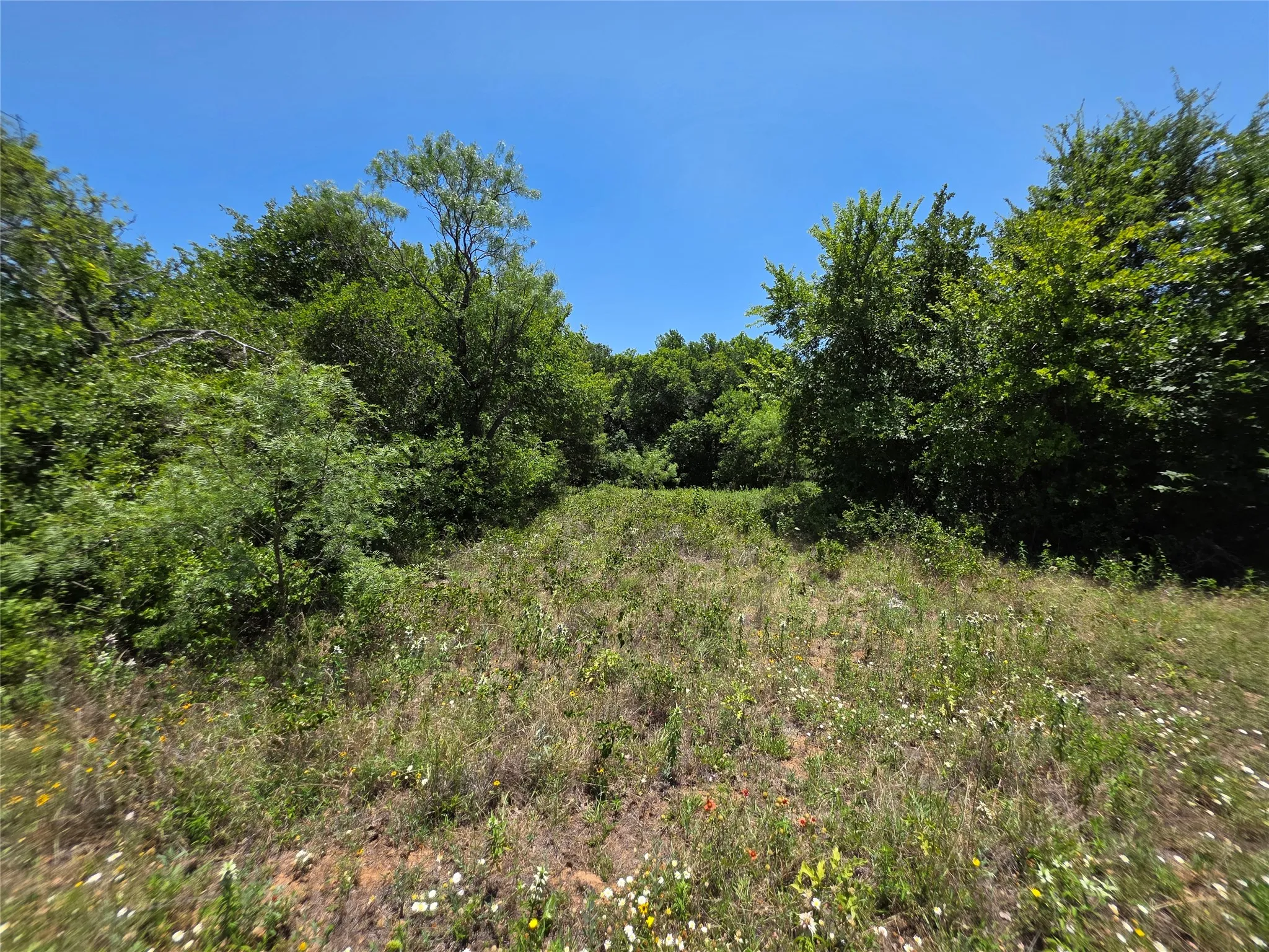 Ranch For Sale in Callahan County , 16695 County Road 421, Cross Plains, Texas 76443, 0, 0, Garage spaces, 0 Sqft, built in 0, Price $598,750, mls#21329069, Real Estate Agent in Cross Plains, Homes For Sale in Callahan county, Homes For Sale in Cross Plains, Realtor in Cross Plains Texas, Real Estate Brokerage Independent Realty Texas, Luminita Cordes Realtor