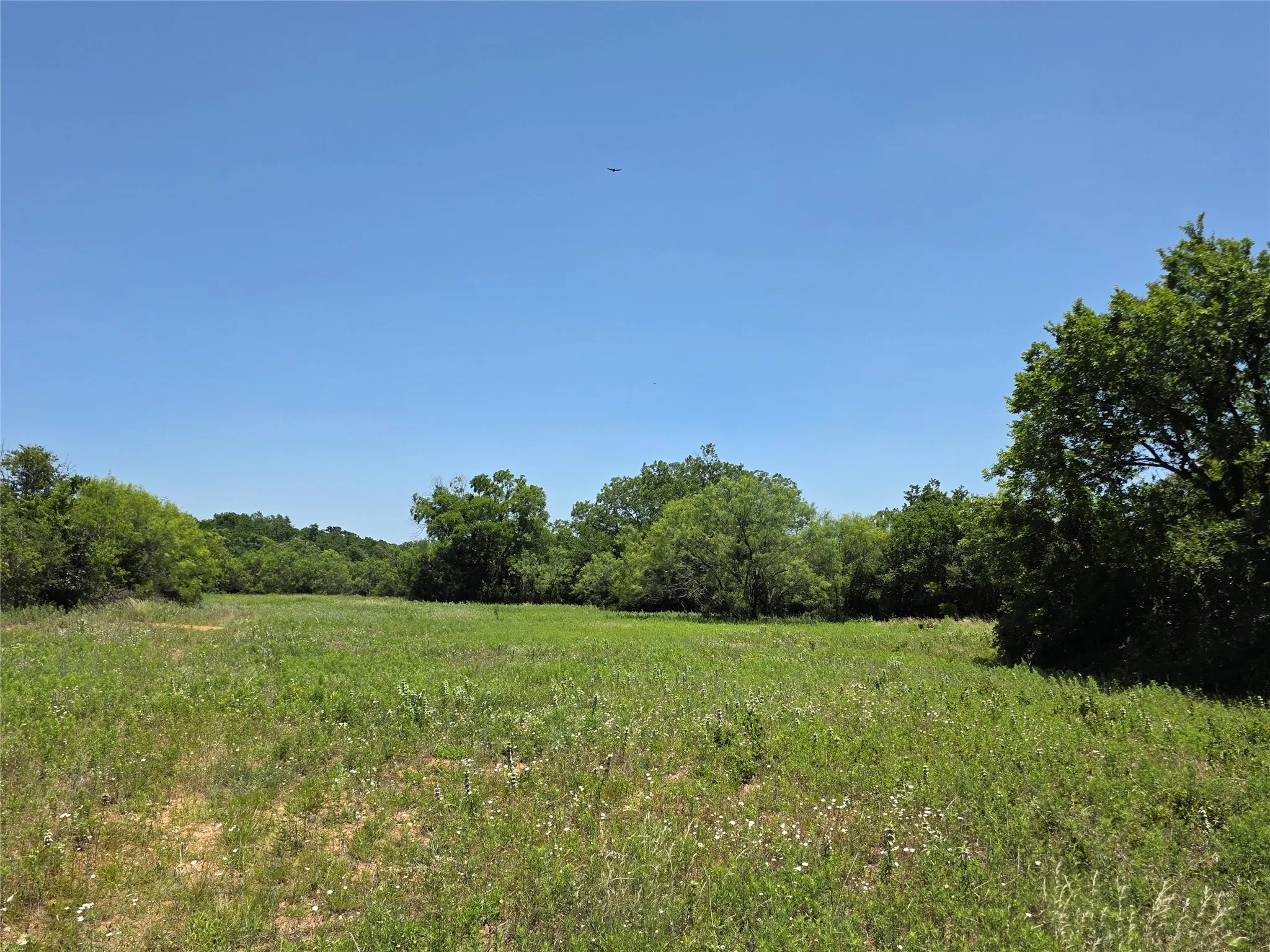 Ranch For Sale in Callahan County , 16695 County Road 421, Cross Plains, Texas 76443, 0, 0, Garage spaces, 0 Sqft, built in 0, Price $598,750, mls#21329069, Real Estate Agent in Cross Plains, Homes For Sale in Callahan county, Homes For Sale in Cross Plains, Realtor in Cross Plains Texas, Real Estate Brokerage Independent Realty Texas, Luminita Cordes Realtor