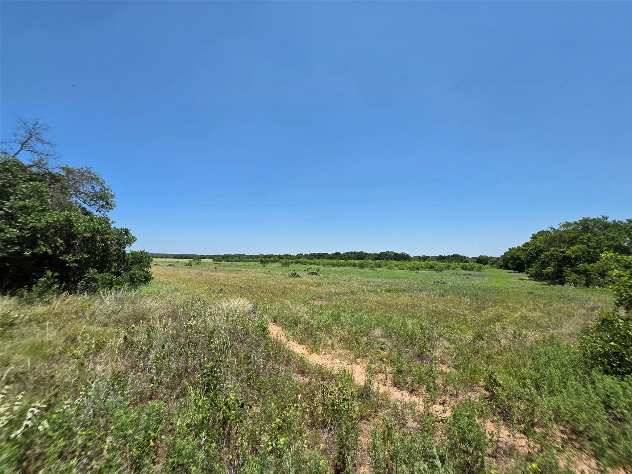 Ranch For Sale in Callahan County , 16695 County Road 421, Cross Plains, Texas 76443, 0, 0, Garage spaces, 0 Sqft, built in 0, Price $598,750, mls#21329069, Real Estate Agent in Cross Plains, Homes For Sale in Callahan county, Homes For Sale in Cross Plains, Realtor in Cross Plains Texas, Real Estate Brokerage Independent Realty Texas, Luminita Cordes Realtor