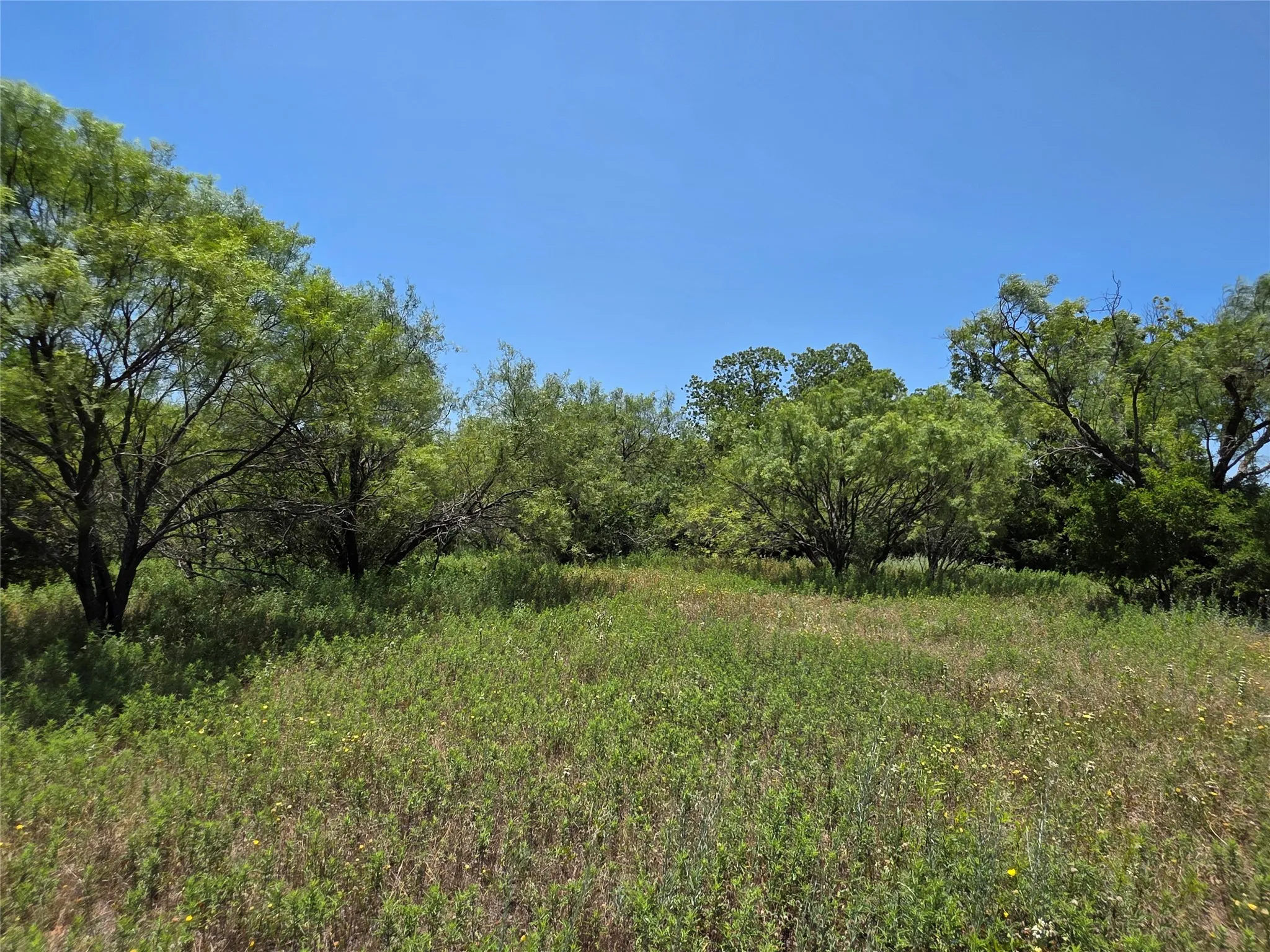 Ranch For Sale in Callahan County , 16695 County Road 421, Cross Plains, Texas 76443, 0, 0, Garage spaces, 0 Sqft, built in 0, Price $598,750, mls#21329069, Real Estate Agent in Cross Plains, Homes For Sale in Callahan county, Homes For Sale in Cross Plains, Realtor in Cross Plains Texas, Real Estate Brokerage Independent Realty Texas, Luminita Cordes Realtor