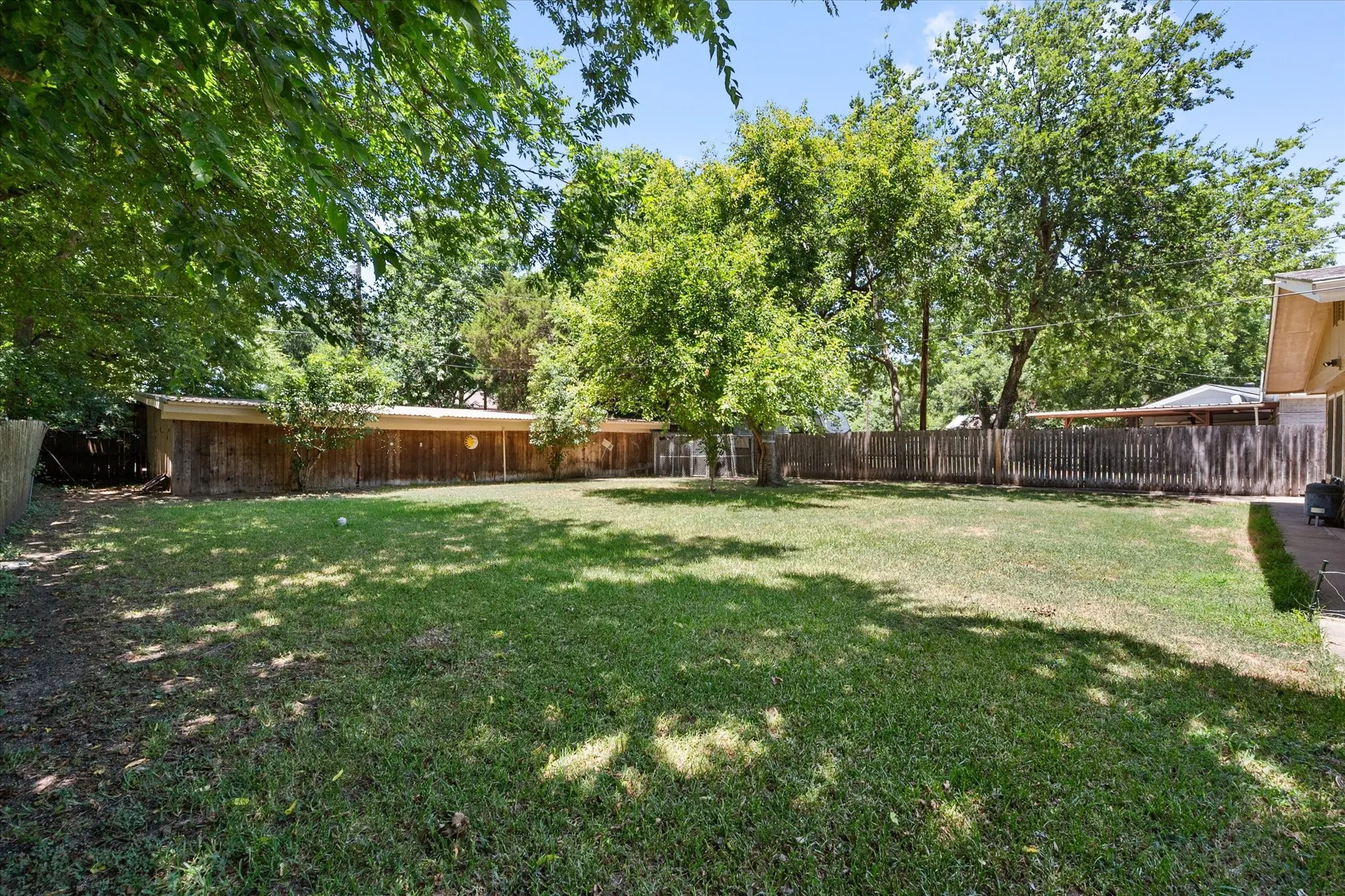 Large backyard